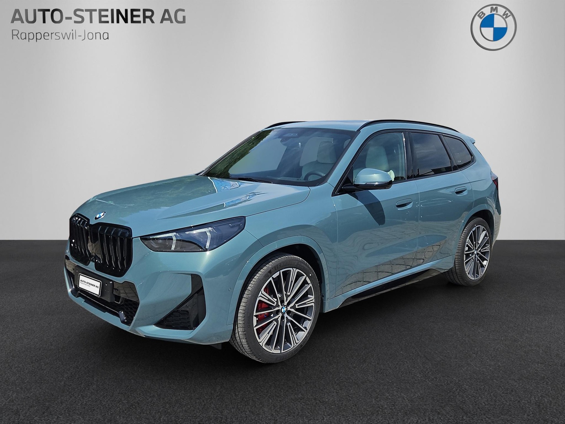 BMW X1 23d xDrive M Sport Pro