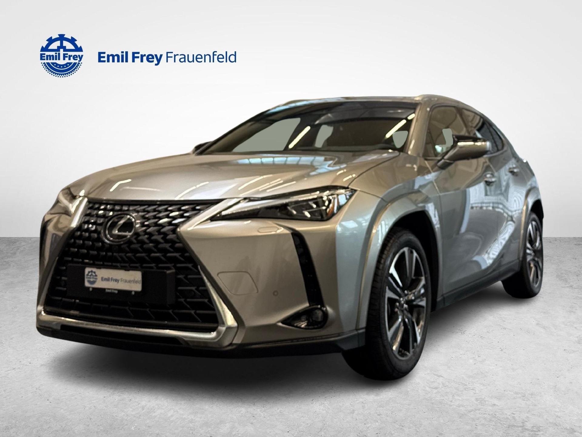 LEXUS UX 300h Excellence