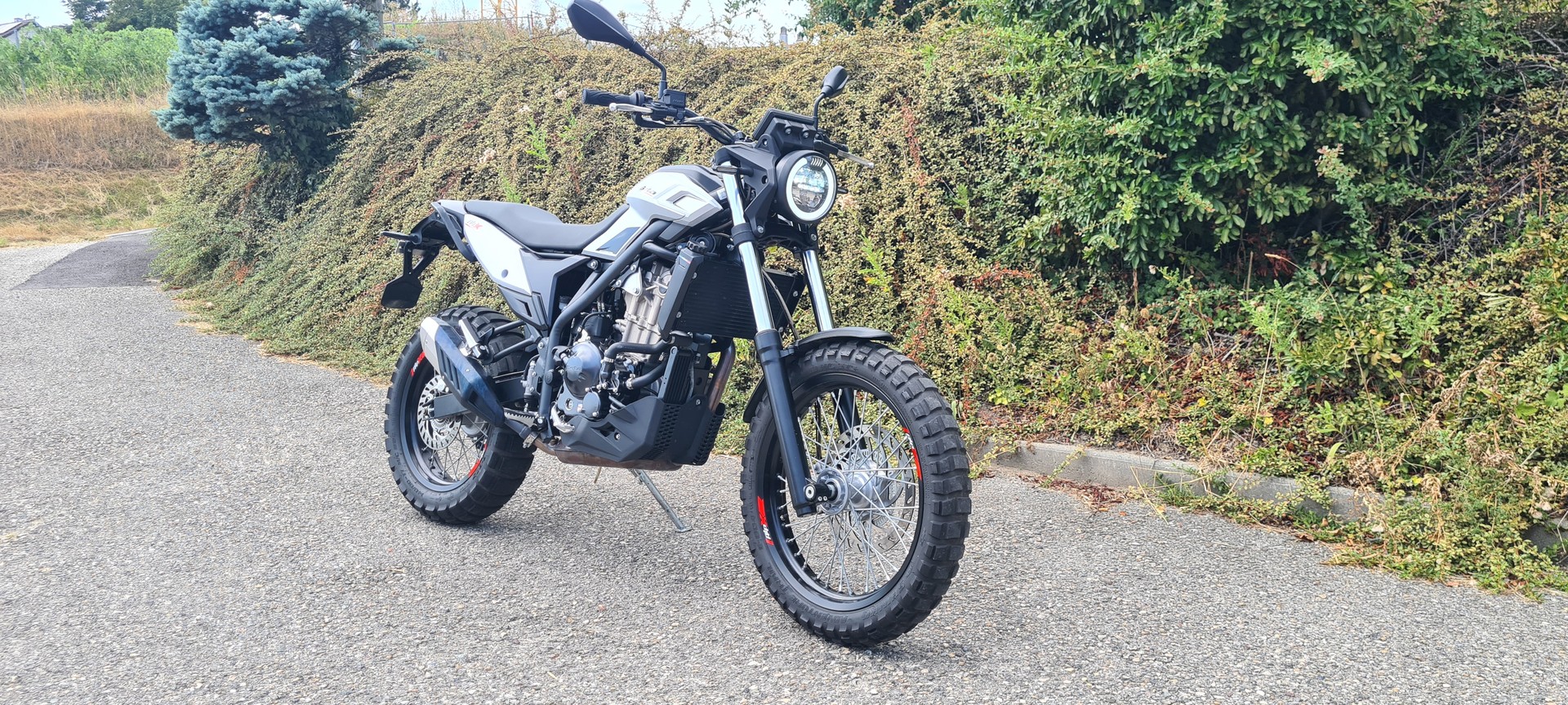 BETA X