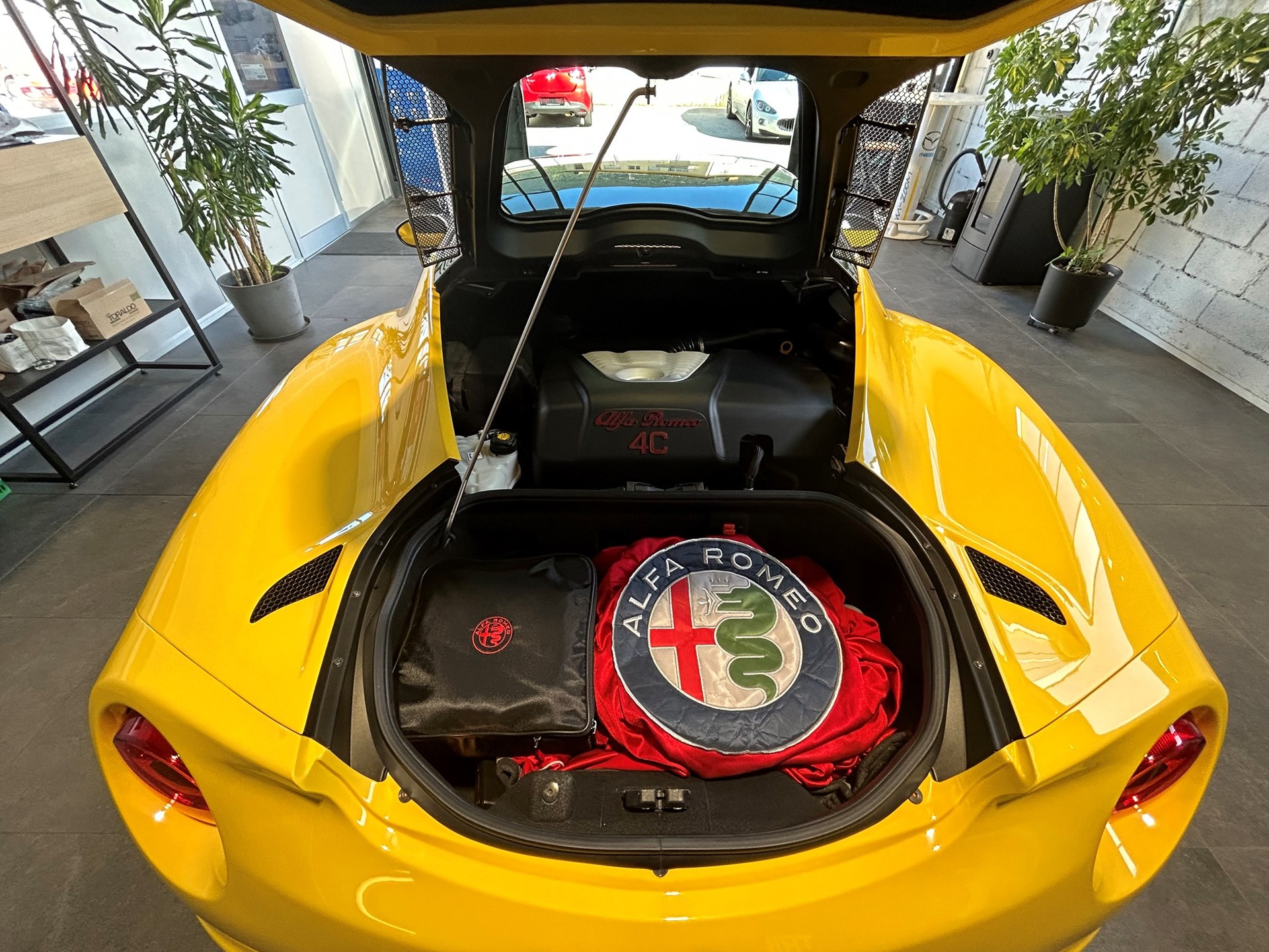 ALFA ROMEO 4C 1750 TBi TCT-image-8