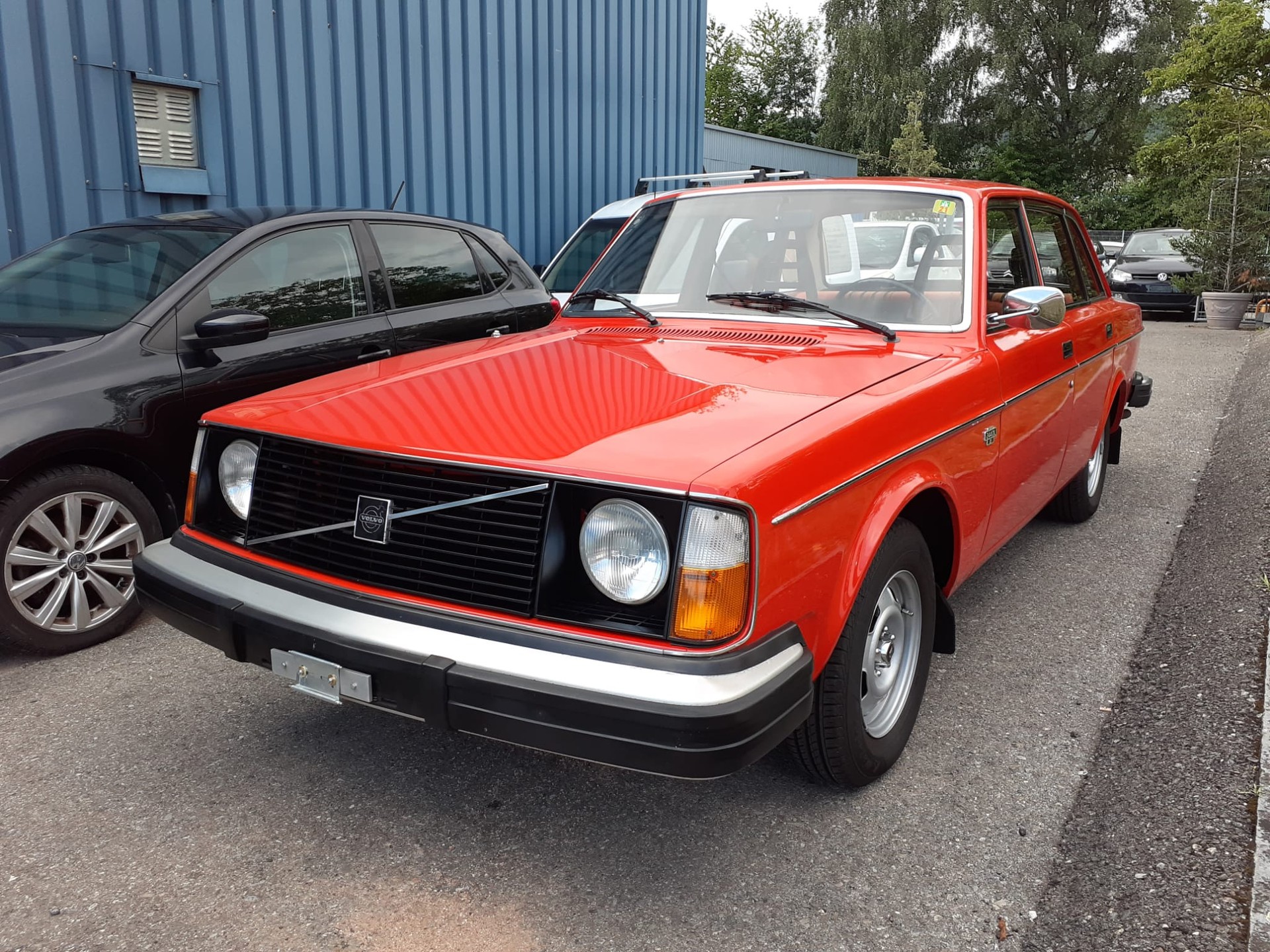 VOLVO 244 DL (Veteranenfahrzeug)