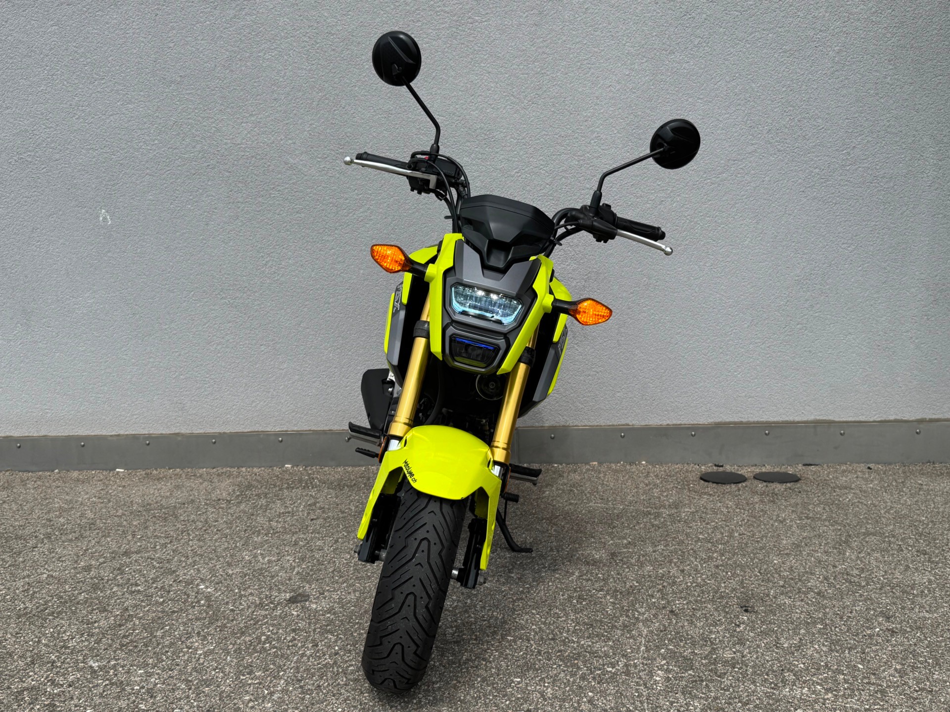 HONDA MSX-image-3