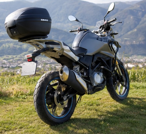 BMW G 310 GS ABS-image-3