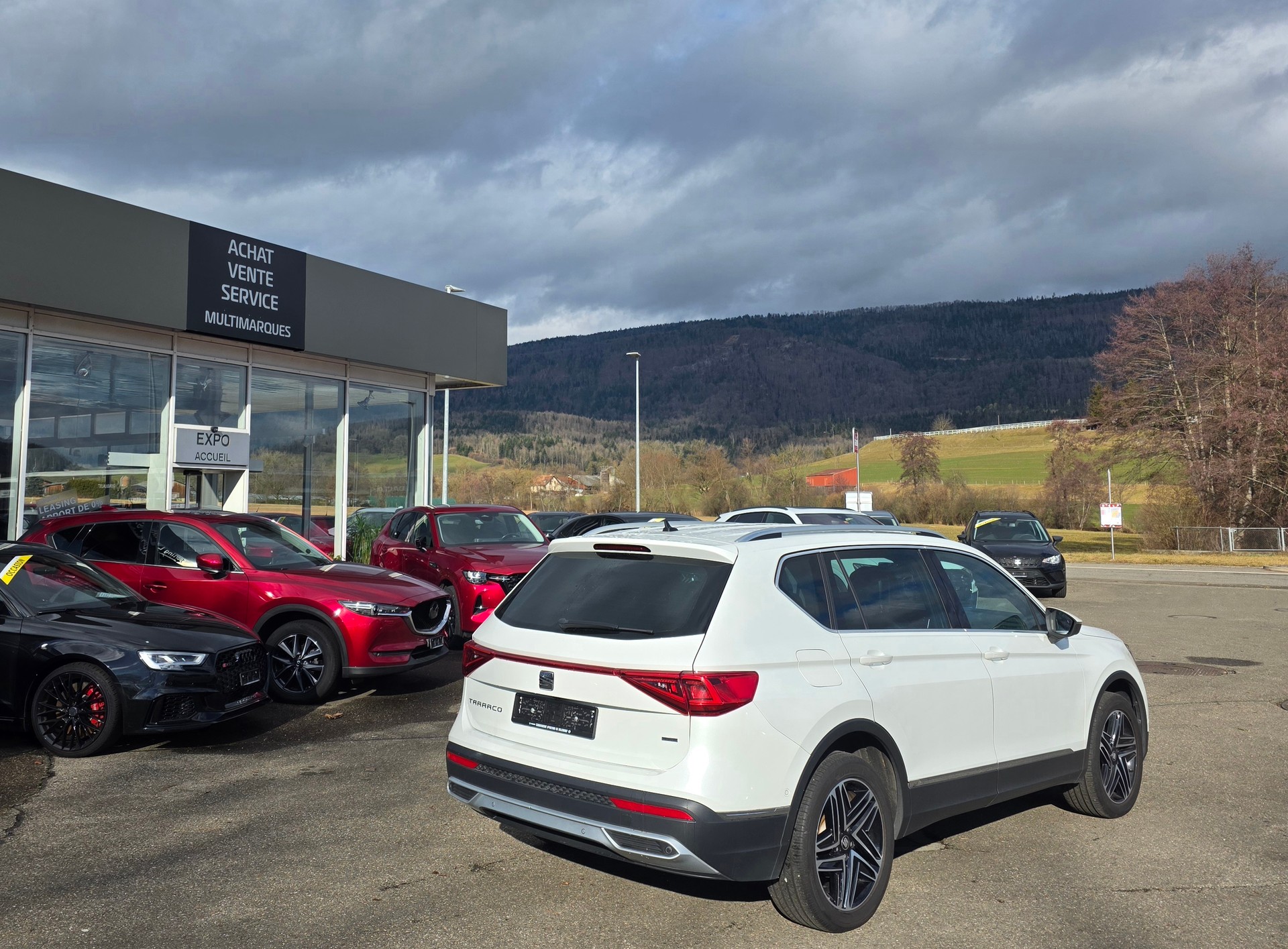 SEAT Tarraco 2.0TSI Xcellence 4Drive DSG-image-3
