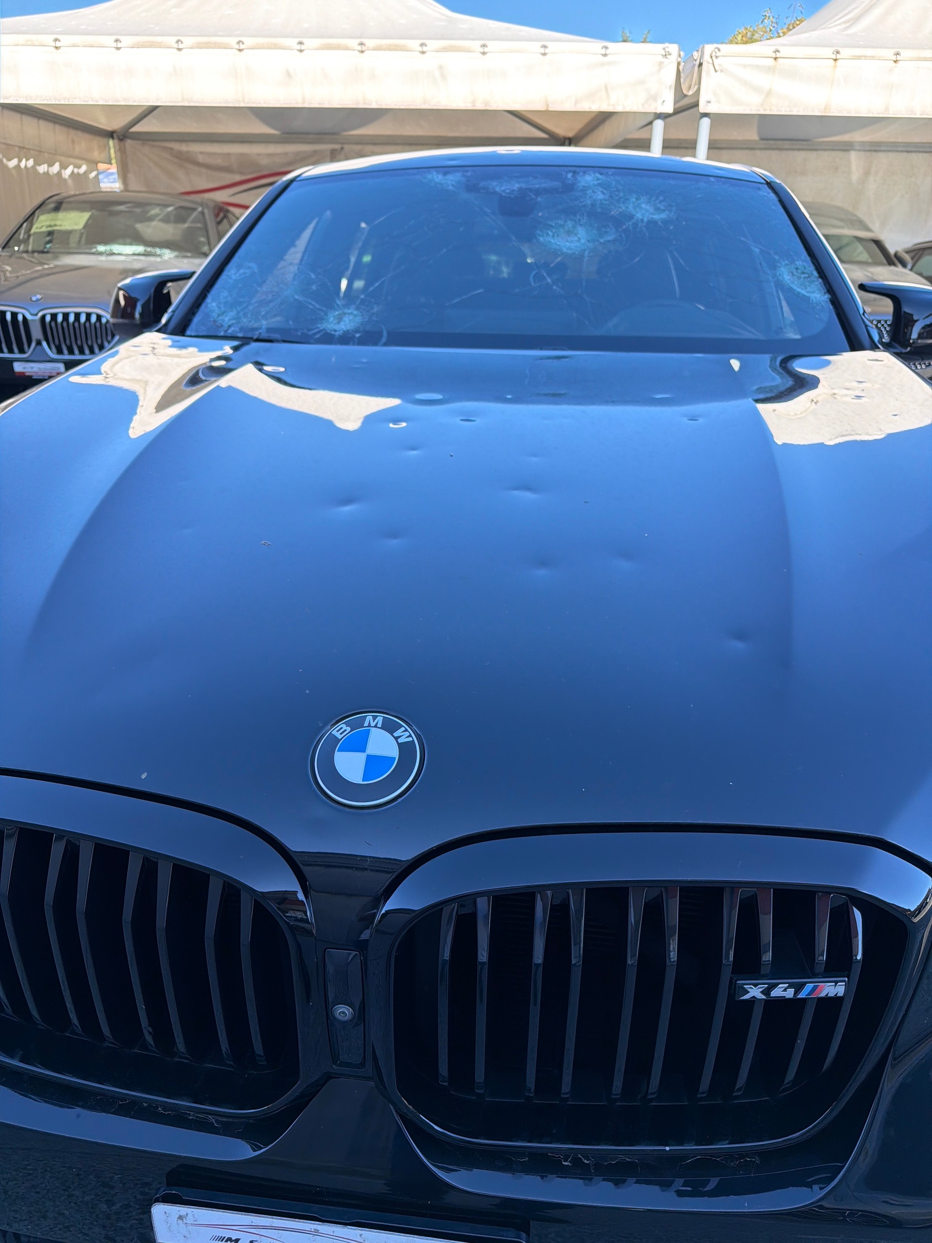 BMW X4 M Competition CH - FAHRZEUG-image-15