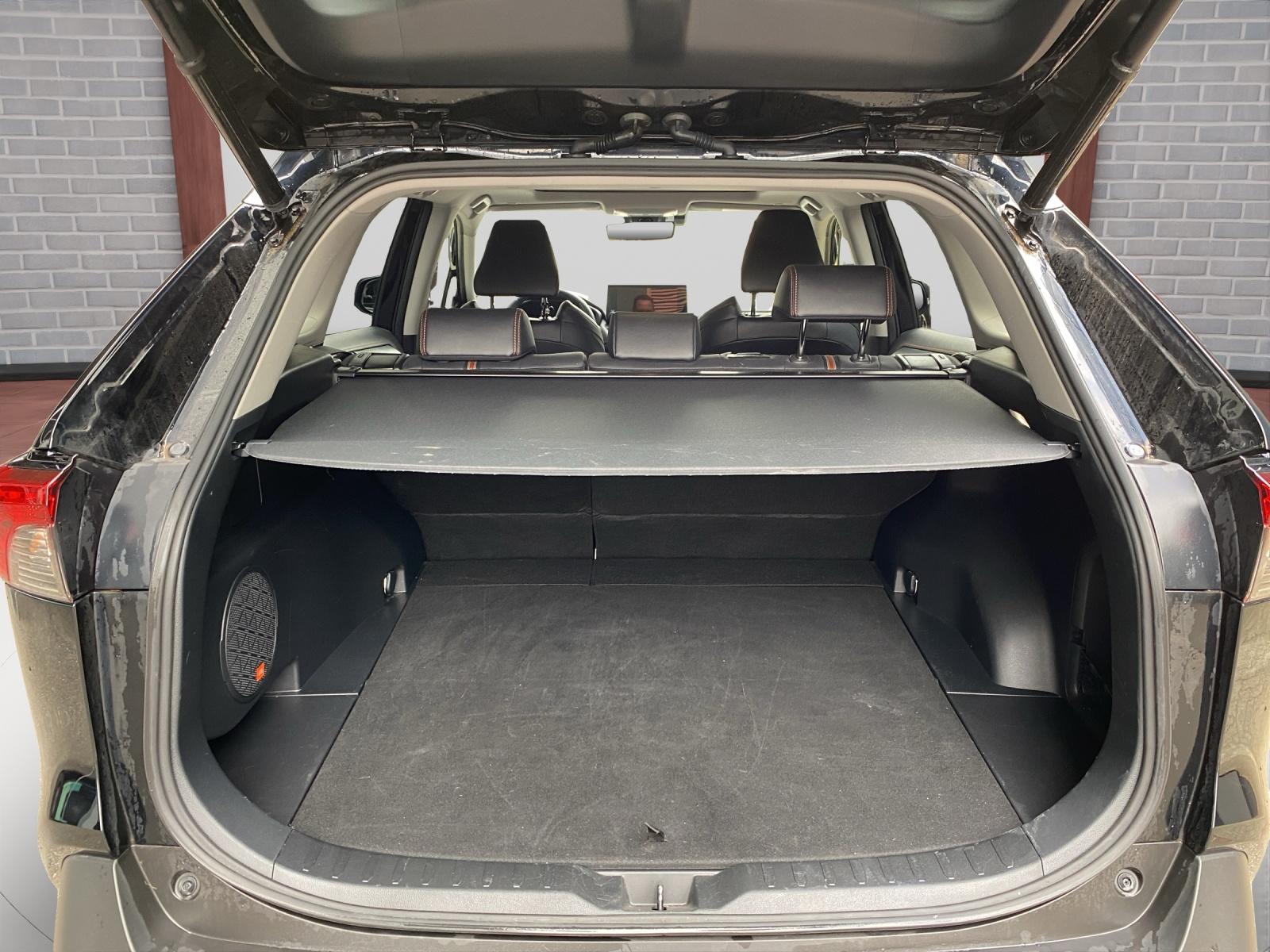 TOYOTA RAV4 2.5 HEV Adventure-image-10