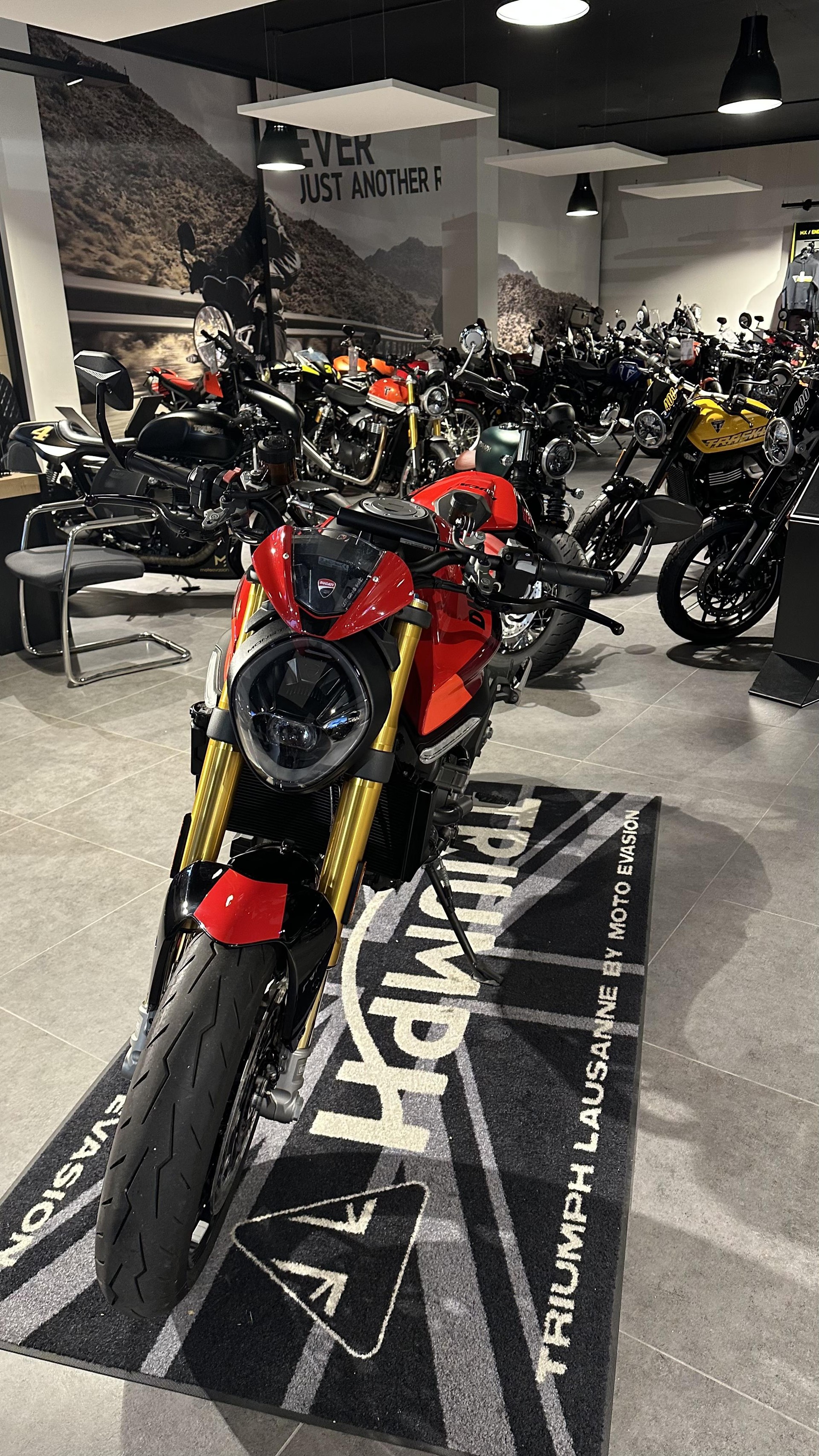 DUCATI Monster SP 937-image-2