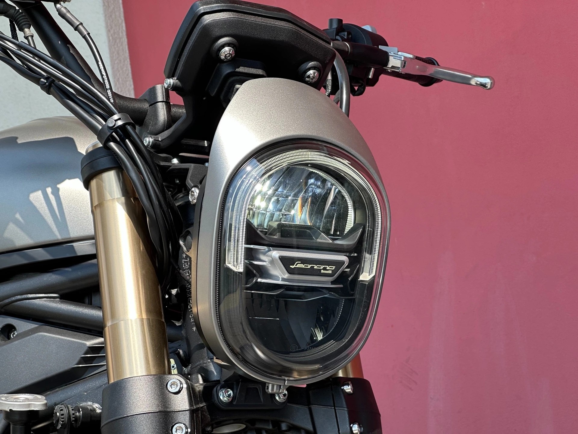 BENELLI Leoncino 800 oRo (xx/25) (35KW)-image-12