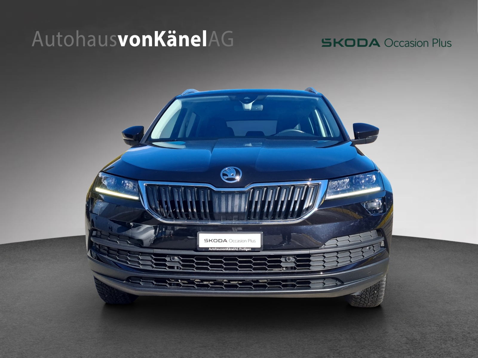SKODA Karoq 2.0 TDI CR Style 4x4 DSG-showroom-element-3