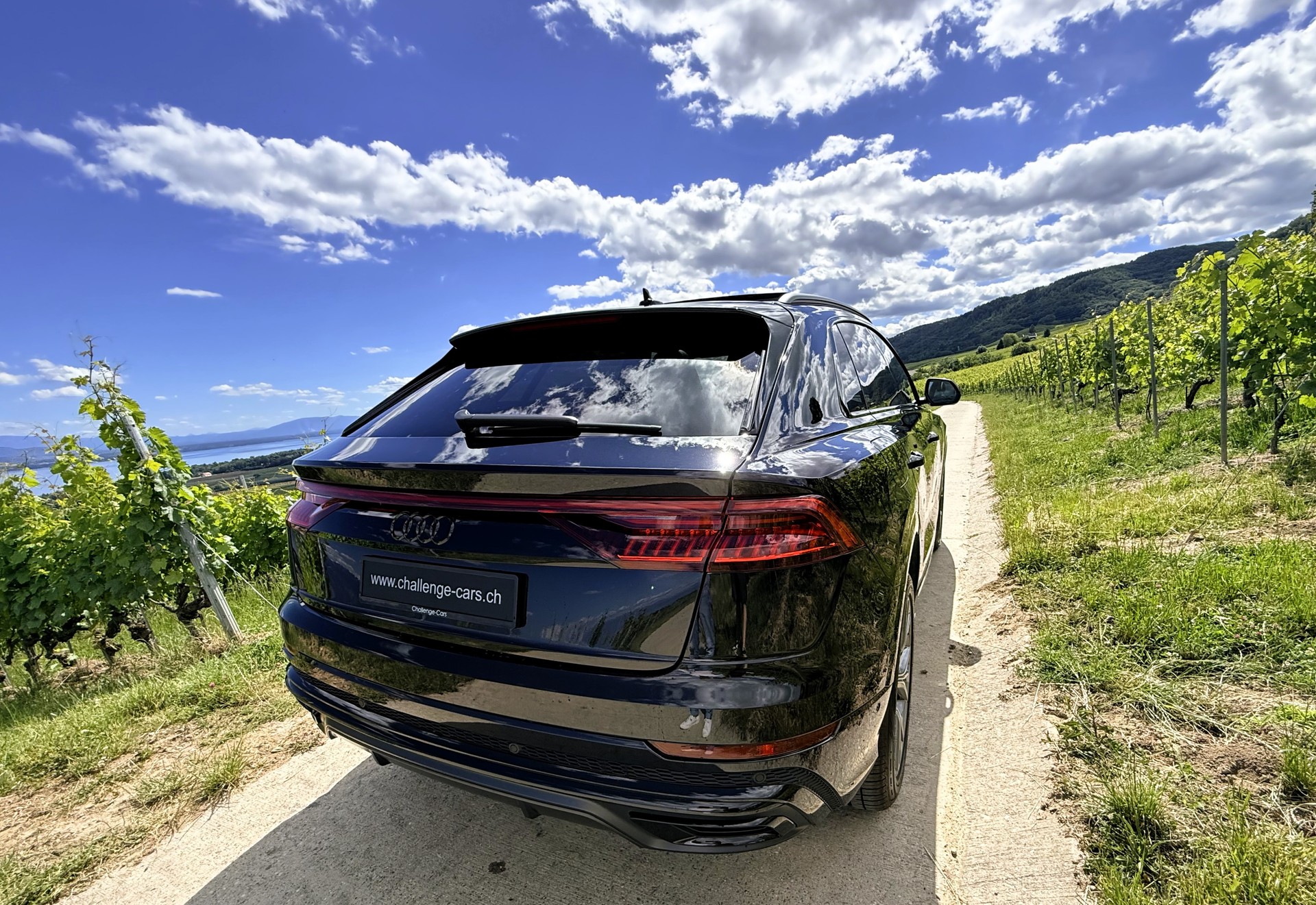 AUDI Q8 45 TDI Black Edition quattro tiptronic-image-8