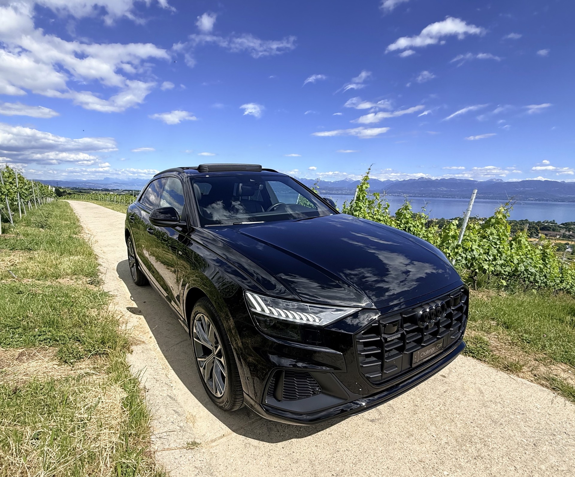AUDI Q8 45 TDI Black Edition quattro tiptronic-showroom-element-3
