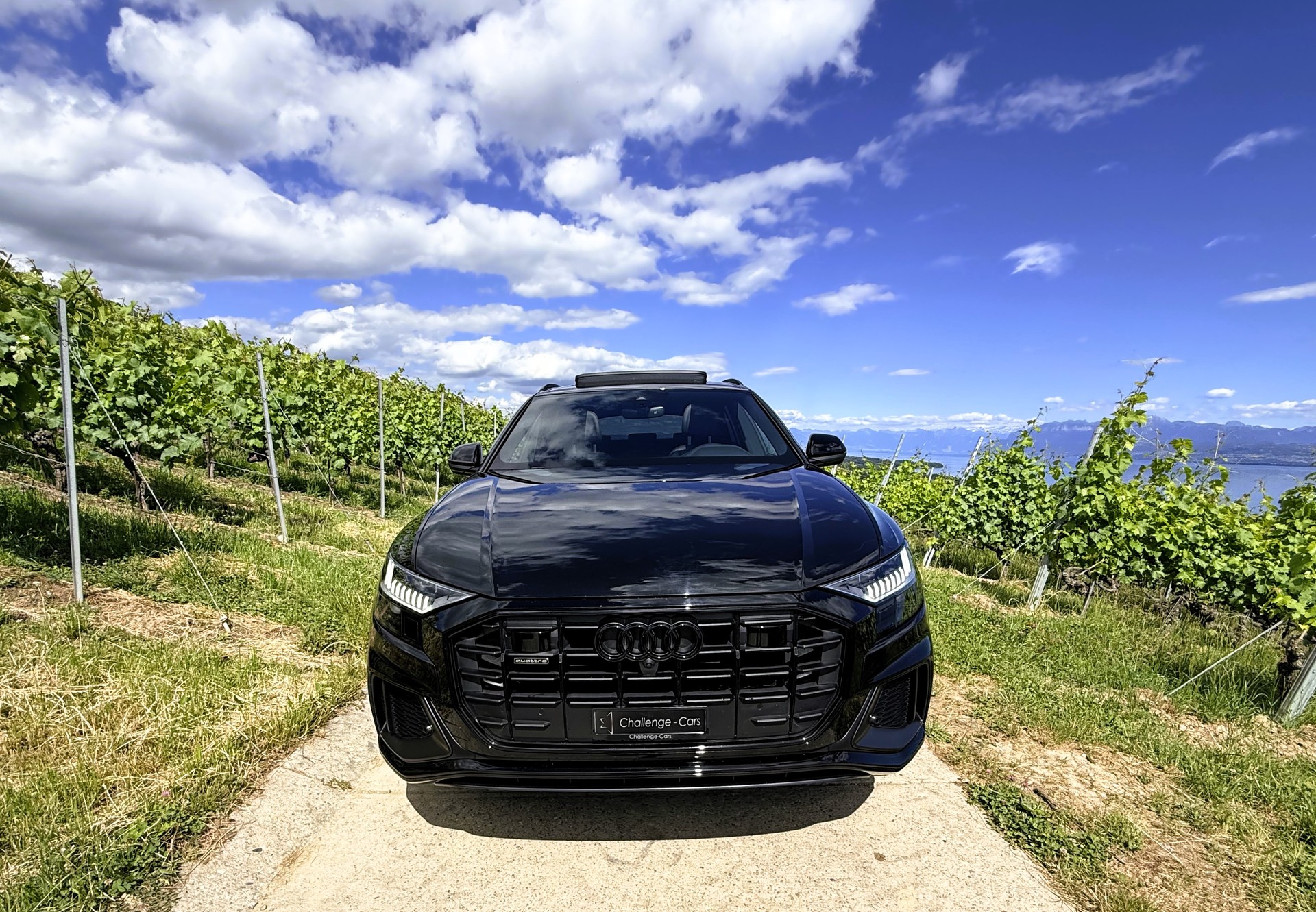 AUDI Q8 45 TDI Black Edition quattro tiptronic-showroom-element-2
