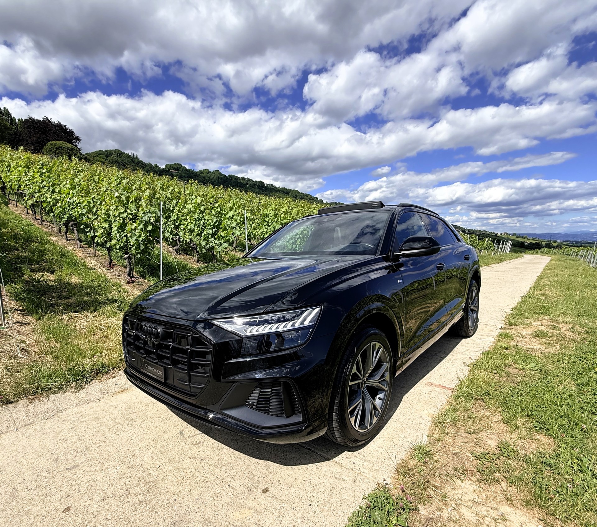 AUDI Q8 45 TDI Black Edition quattro tiptronic-showroom-element-1