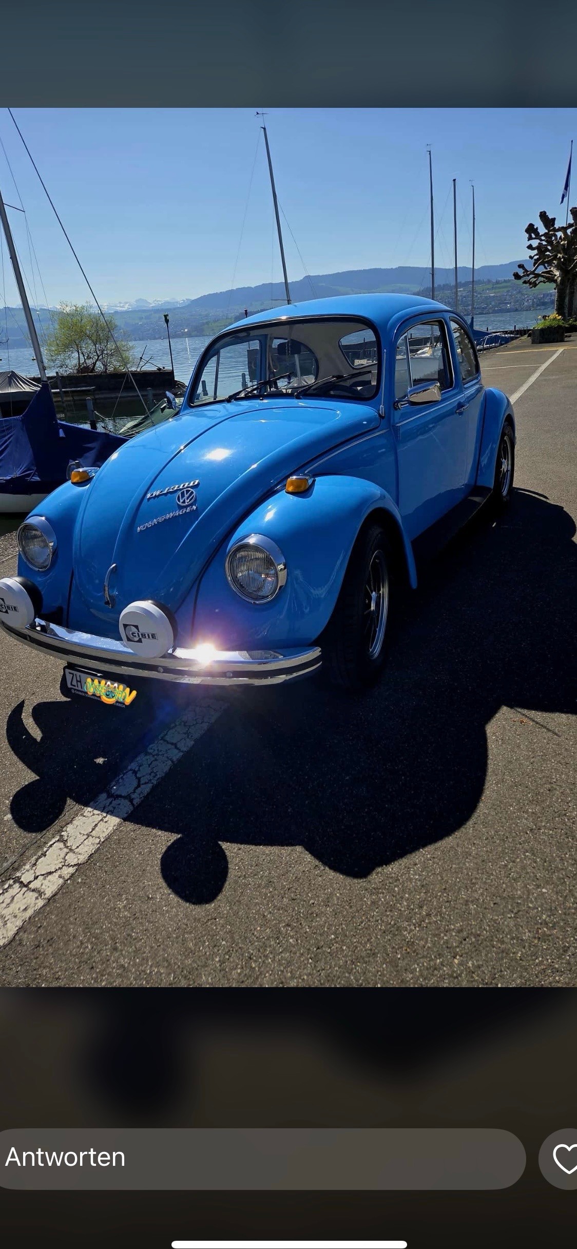 VW Käfer Hippie Haiti Edition-image-4