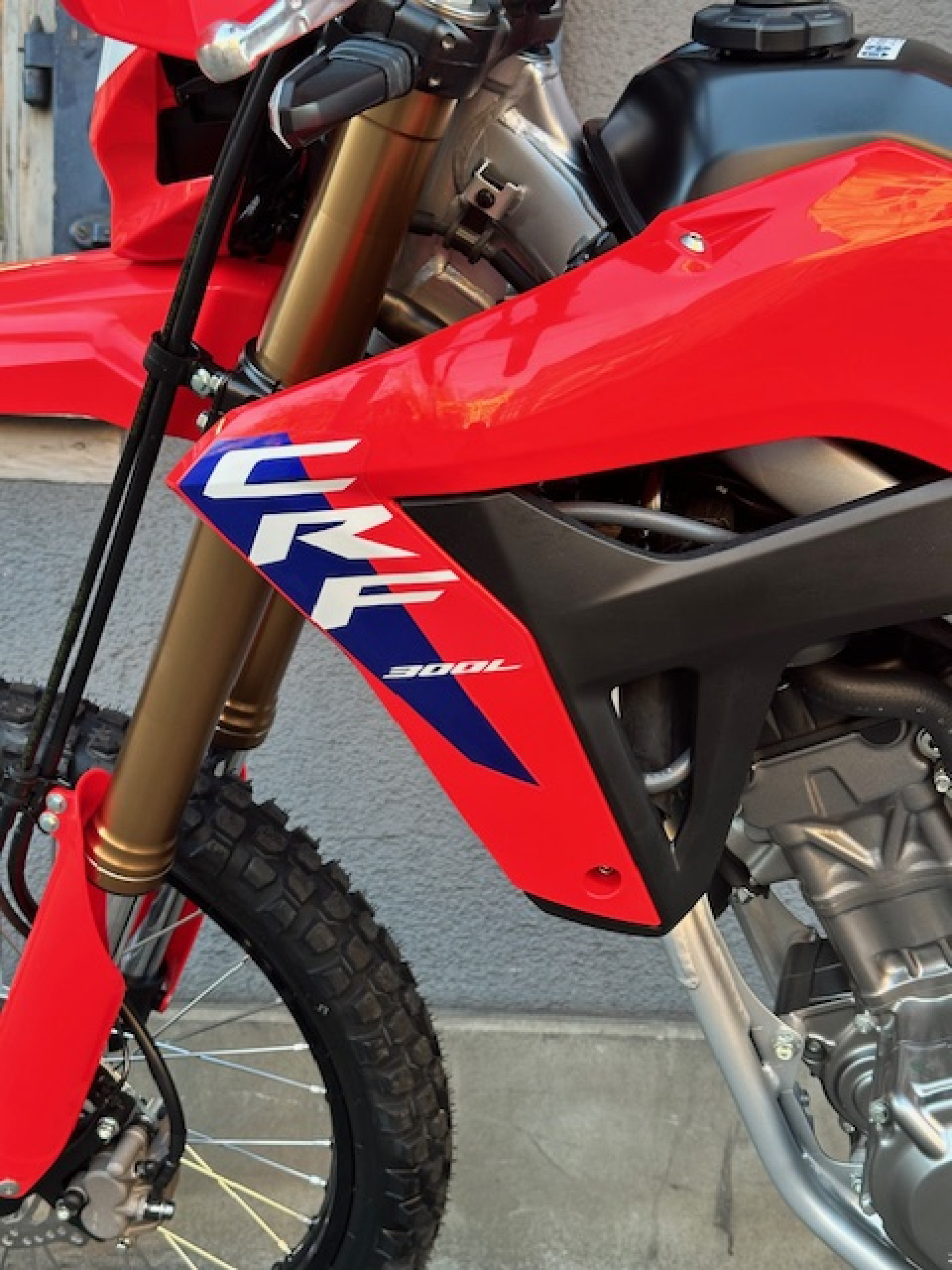 HONDA CRF 300 L mit LCD Display-image-6
