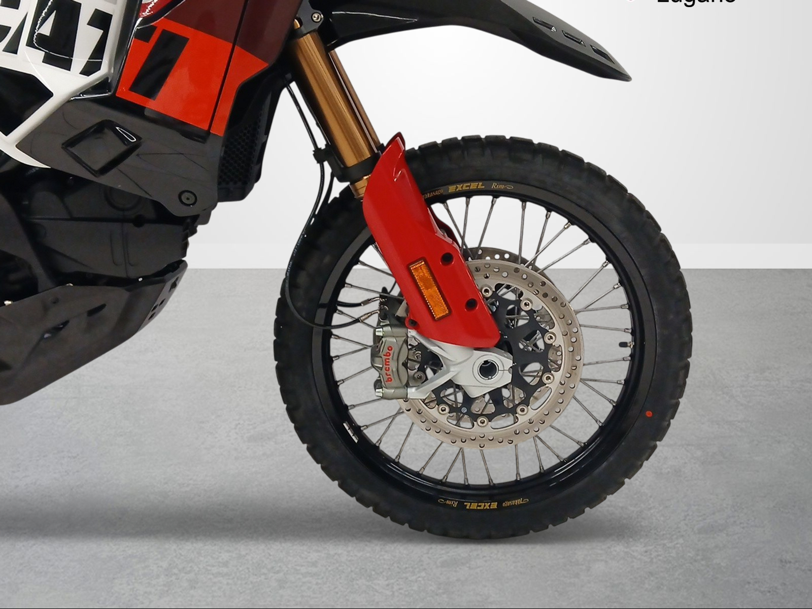 DUCATI Desert X Rally-image-9