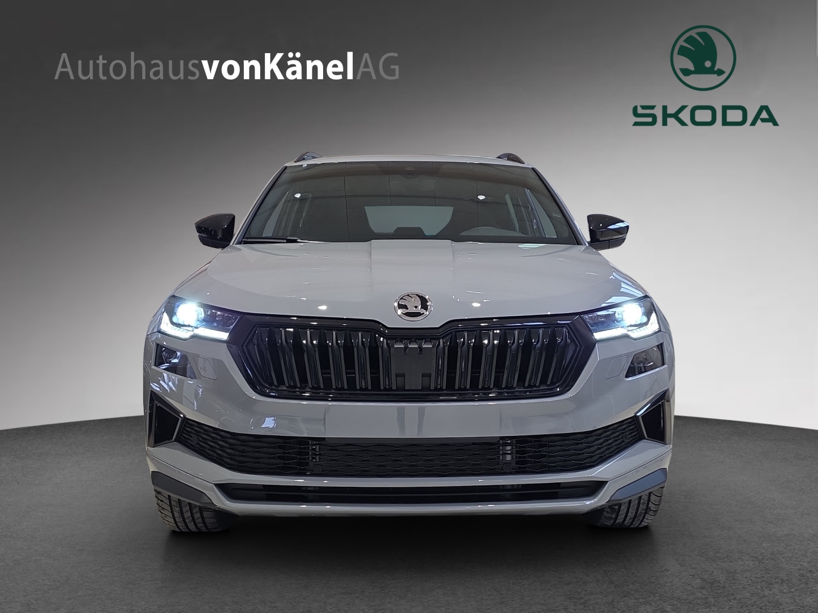 SKODA Karoq 2.0 TSI SportLine 4x4 DSG-showroom-element-3