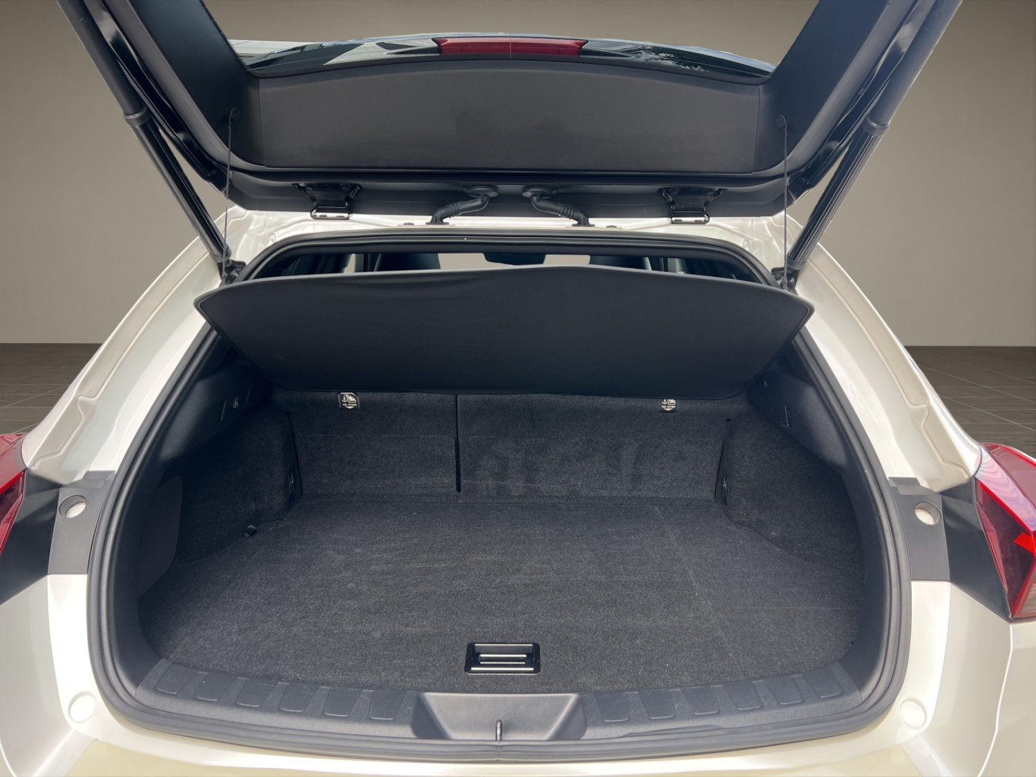 LEXUS UX 250h Excellence-image-23