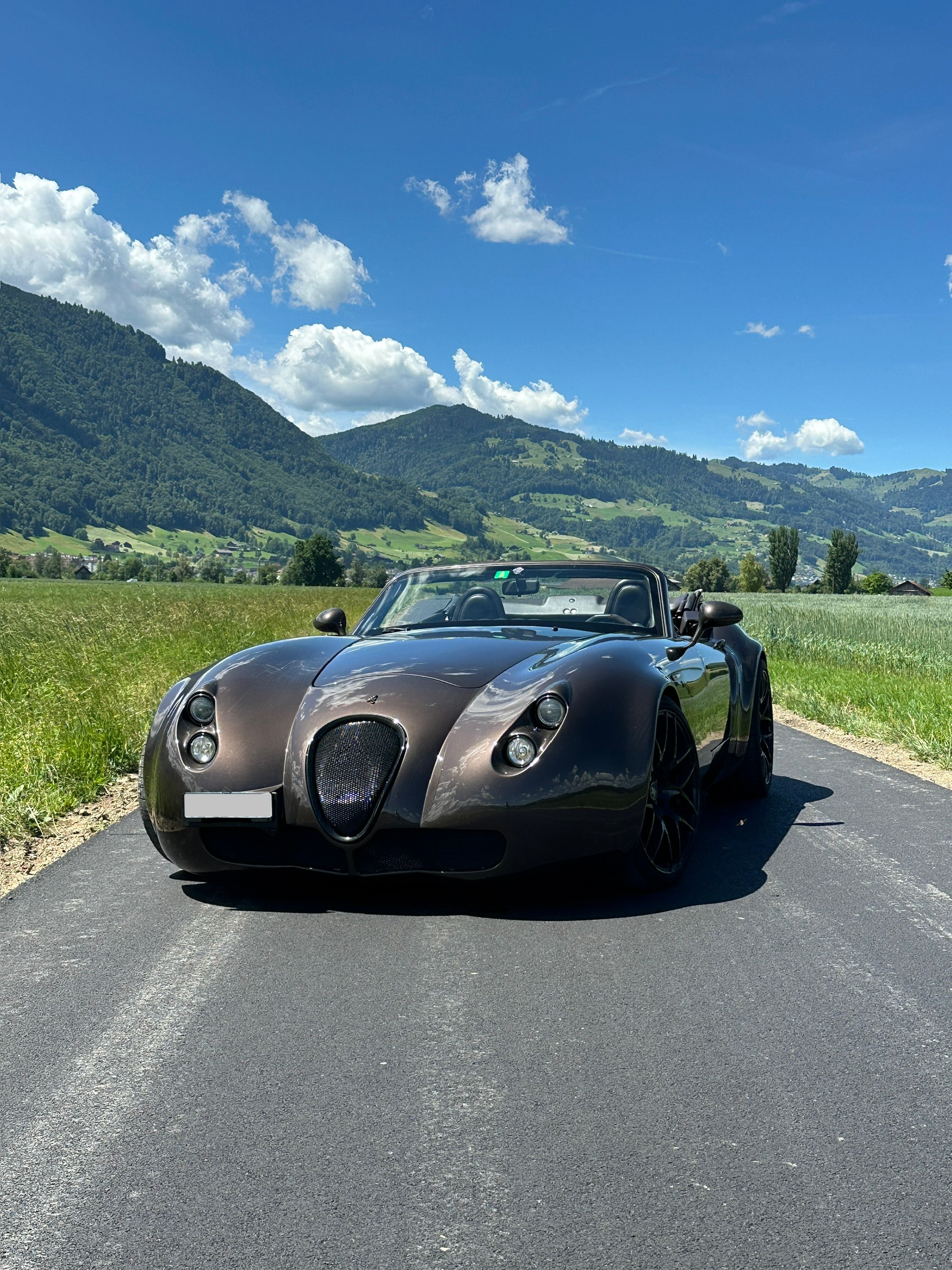 WIESMANN MF4-T