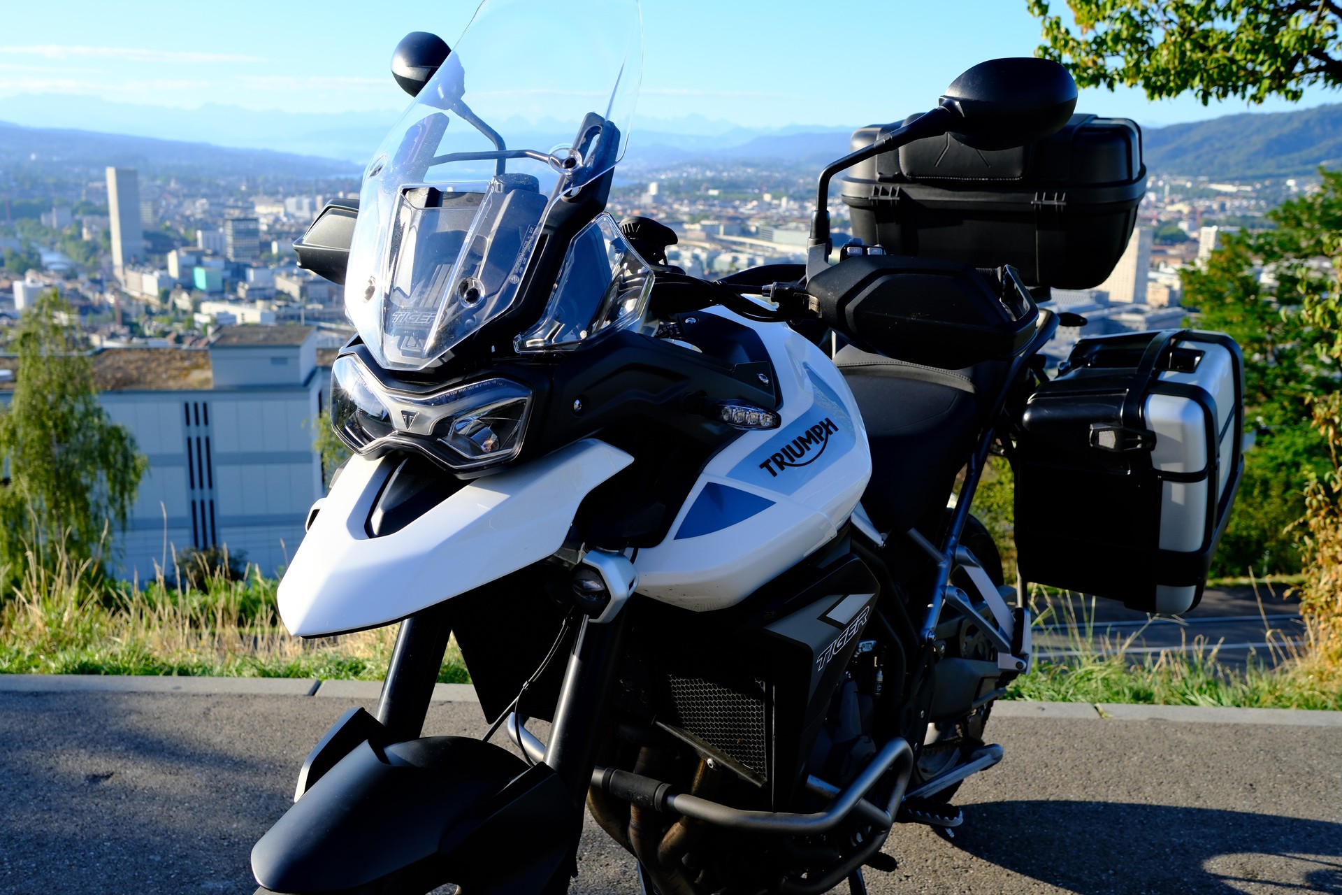 TRIUMPH Tiger 900 GT Pro-image-4