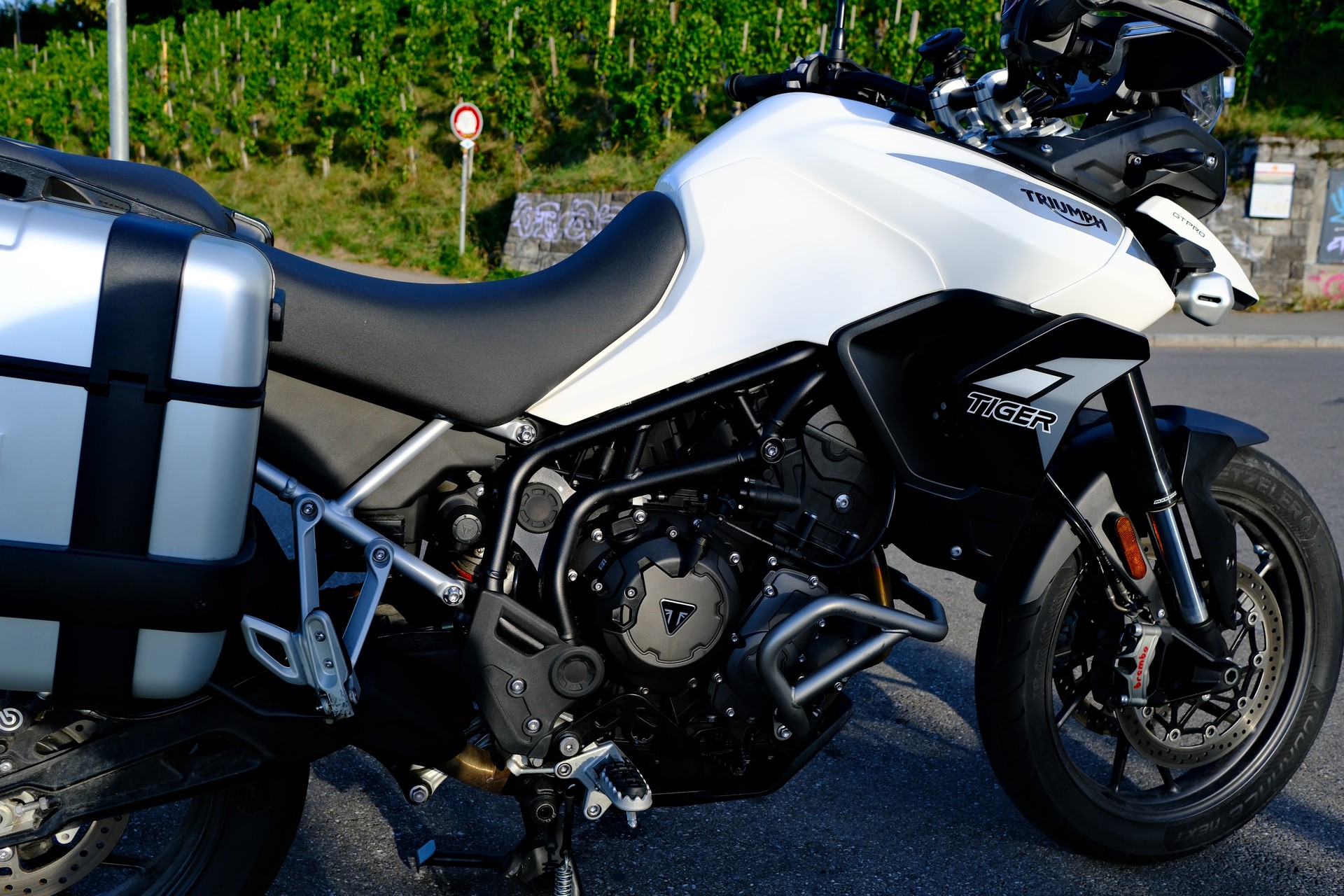 TRIUMPH Tiger 900 GT Pro-image-6