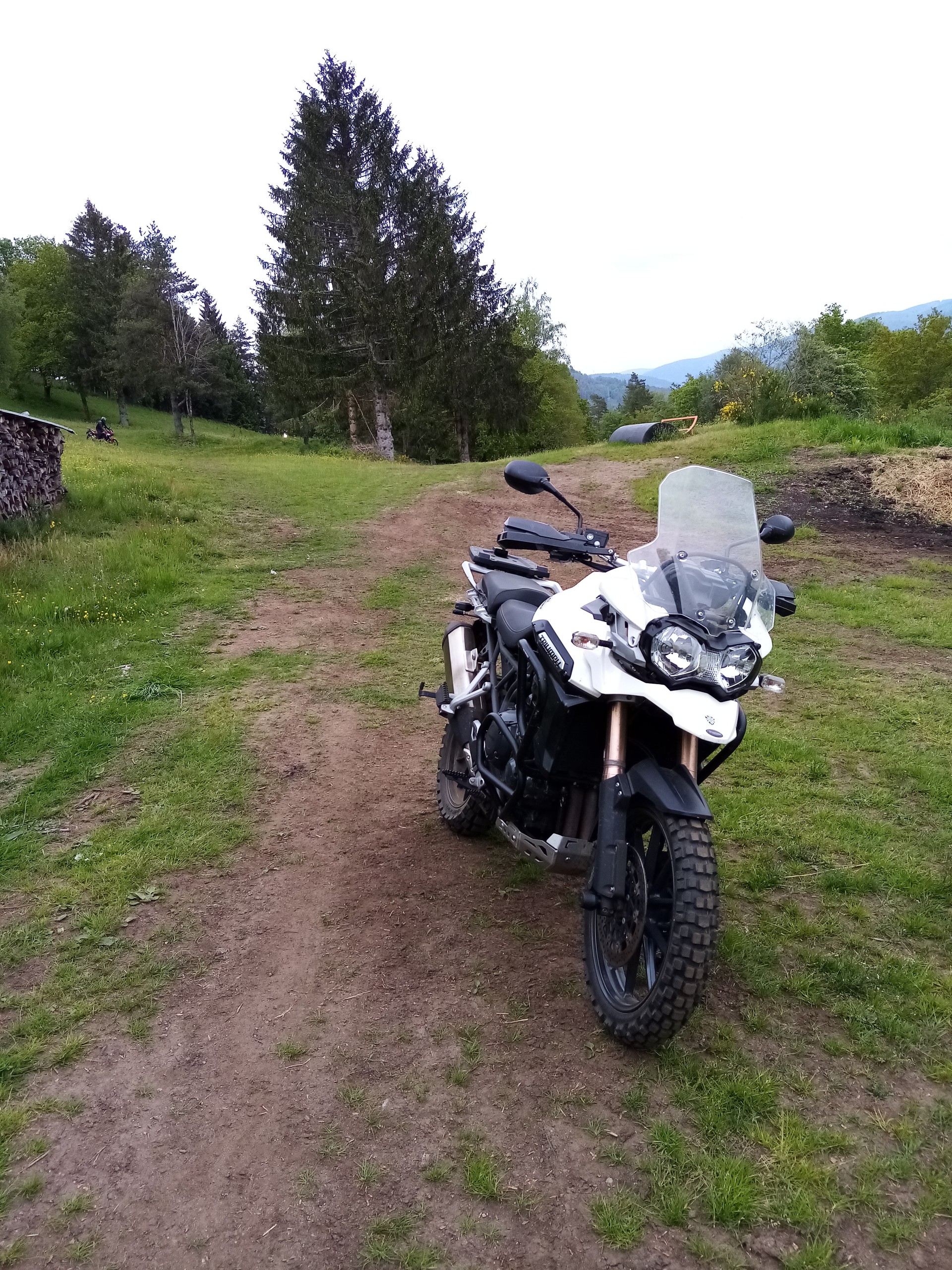 TRIUMPH Tiger 1200 Explorer ABS-image-2
