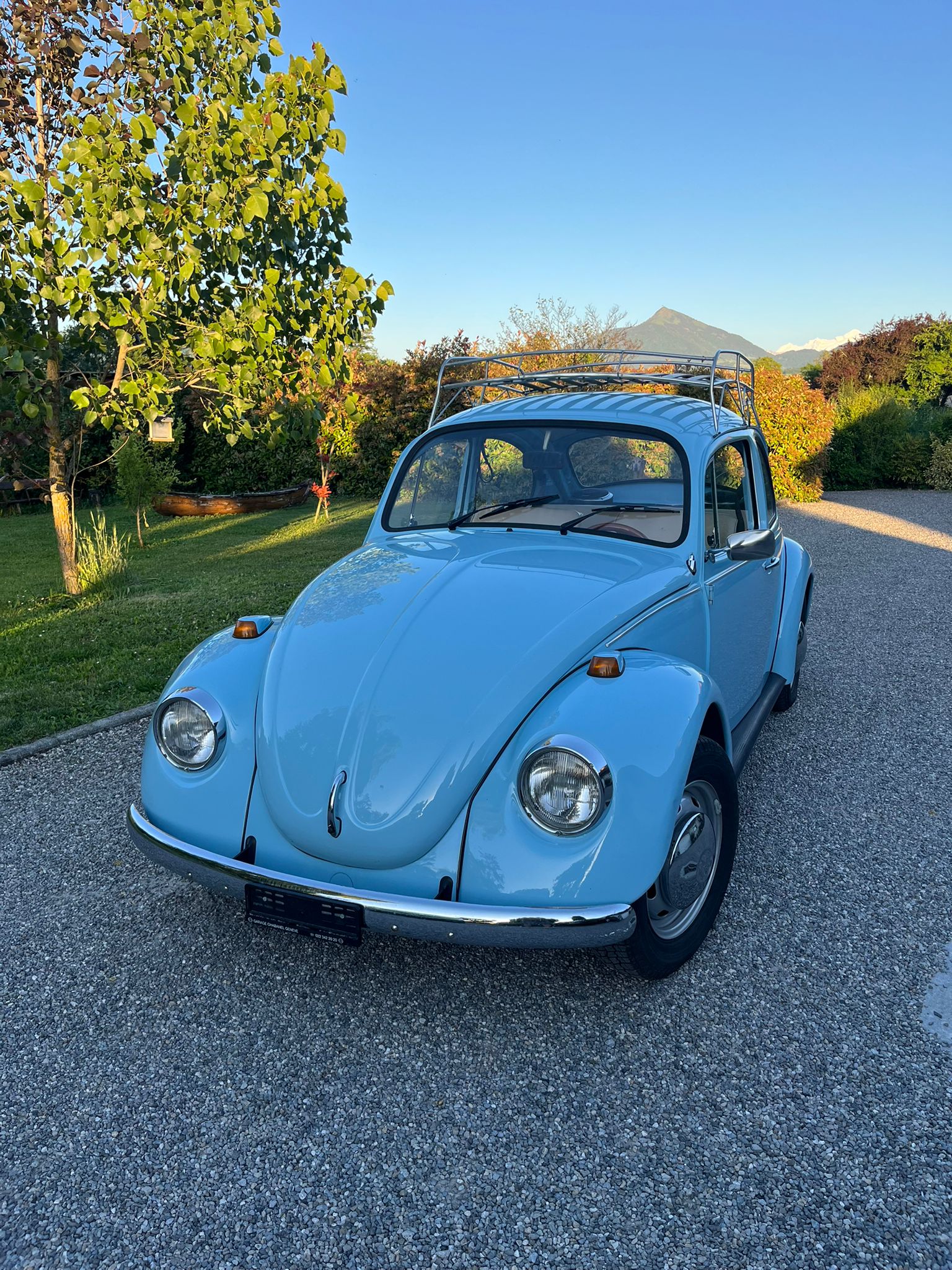 VW Käfer