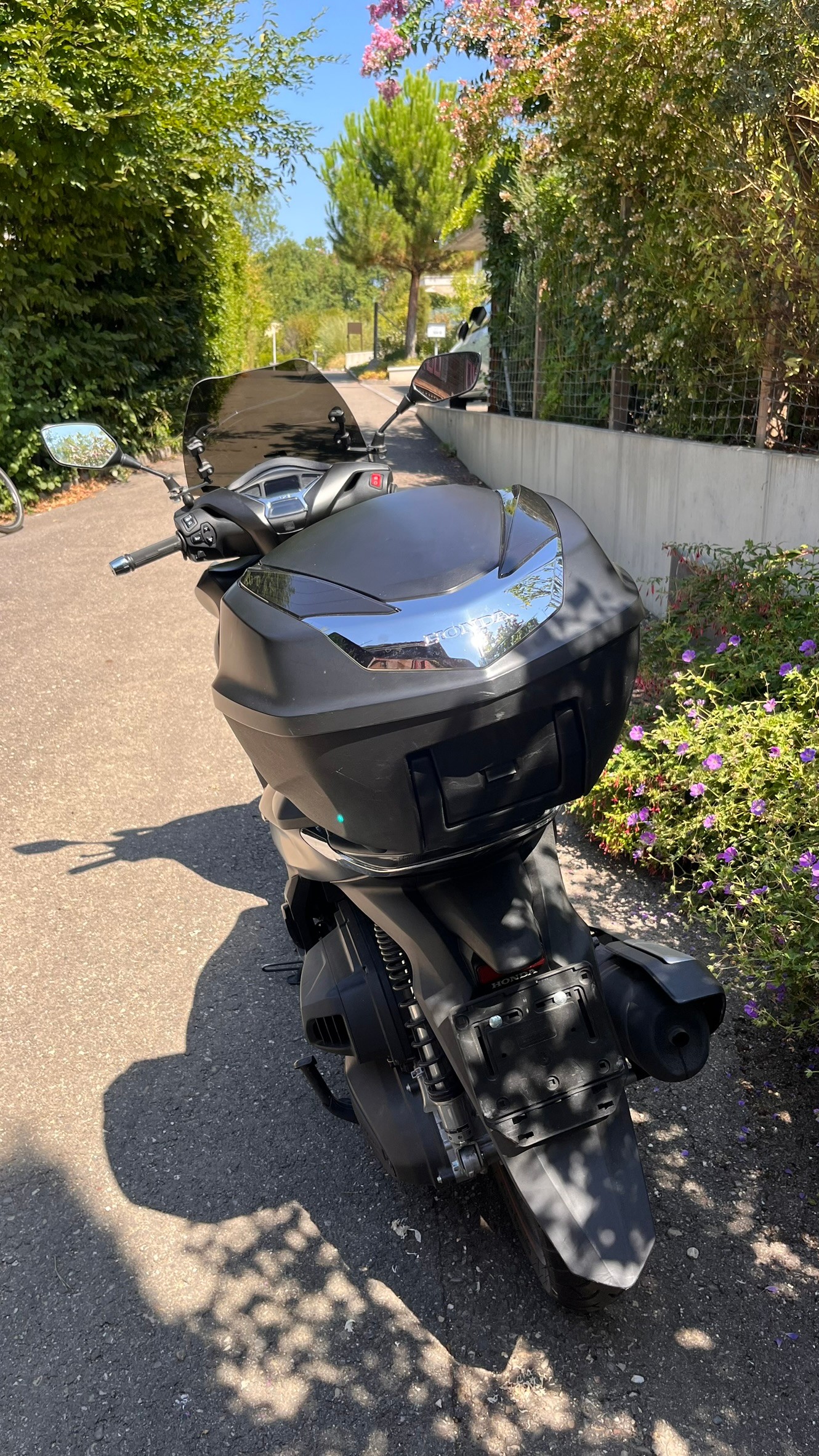 HONDA SH 350 Sporty-image-3