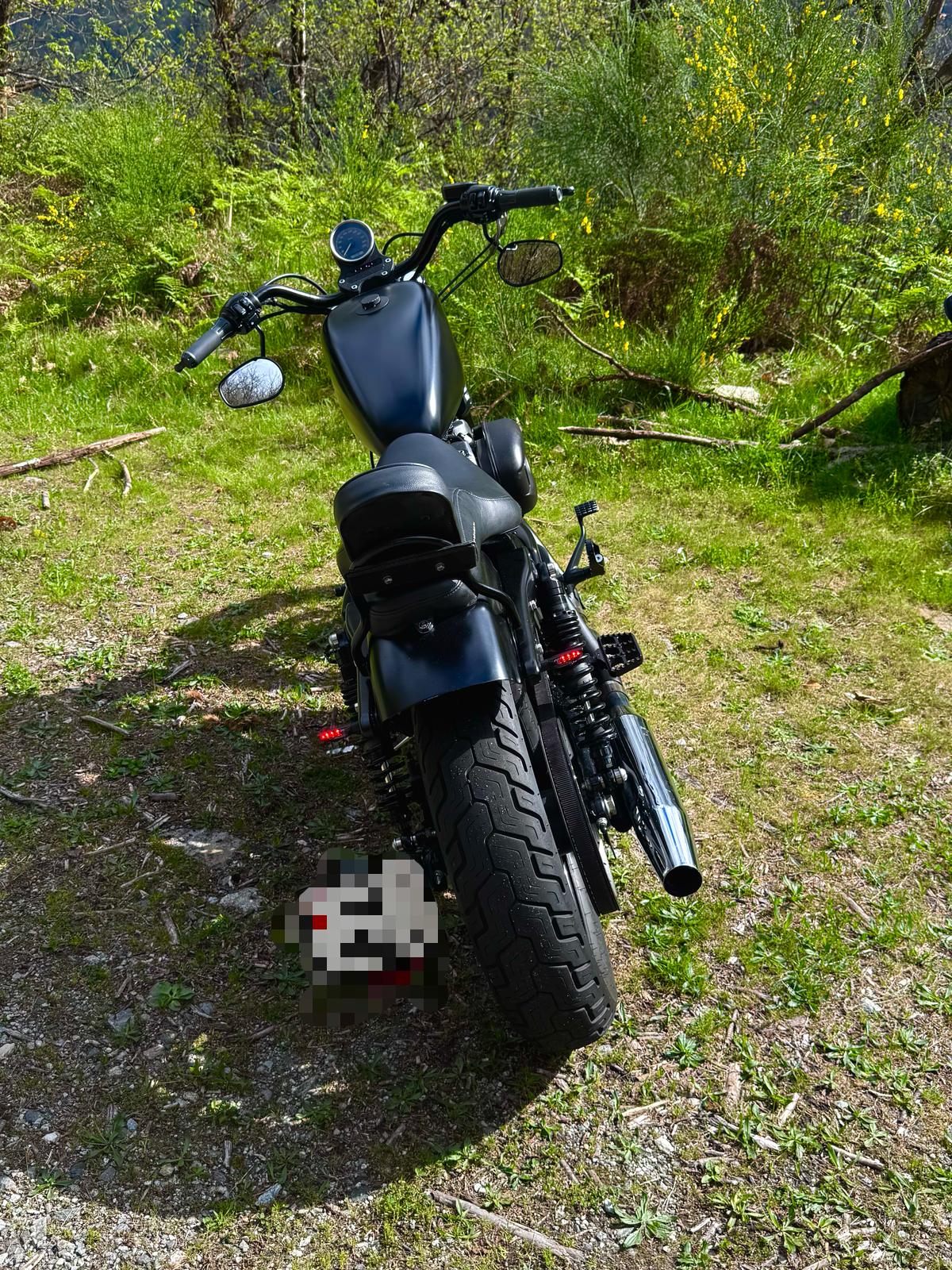 HARLEY-DAVIDSON XL 1200 N Sportster Nightster-image-7