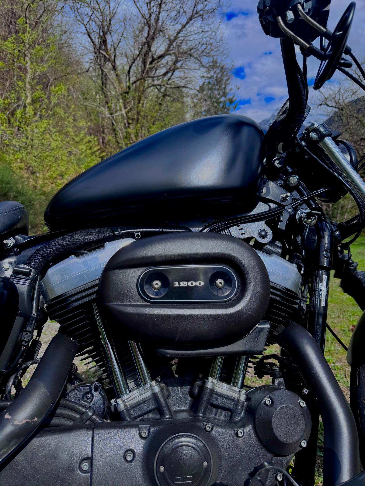 HARLEY-DAVIDSON XL 1200 N Sportster Nightster-image-2
