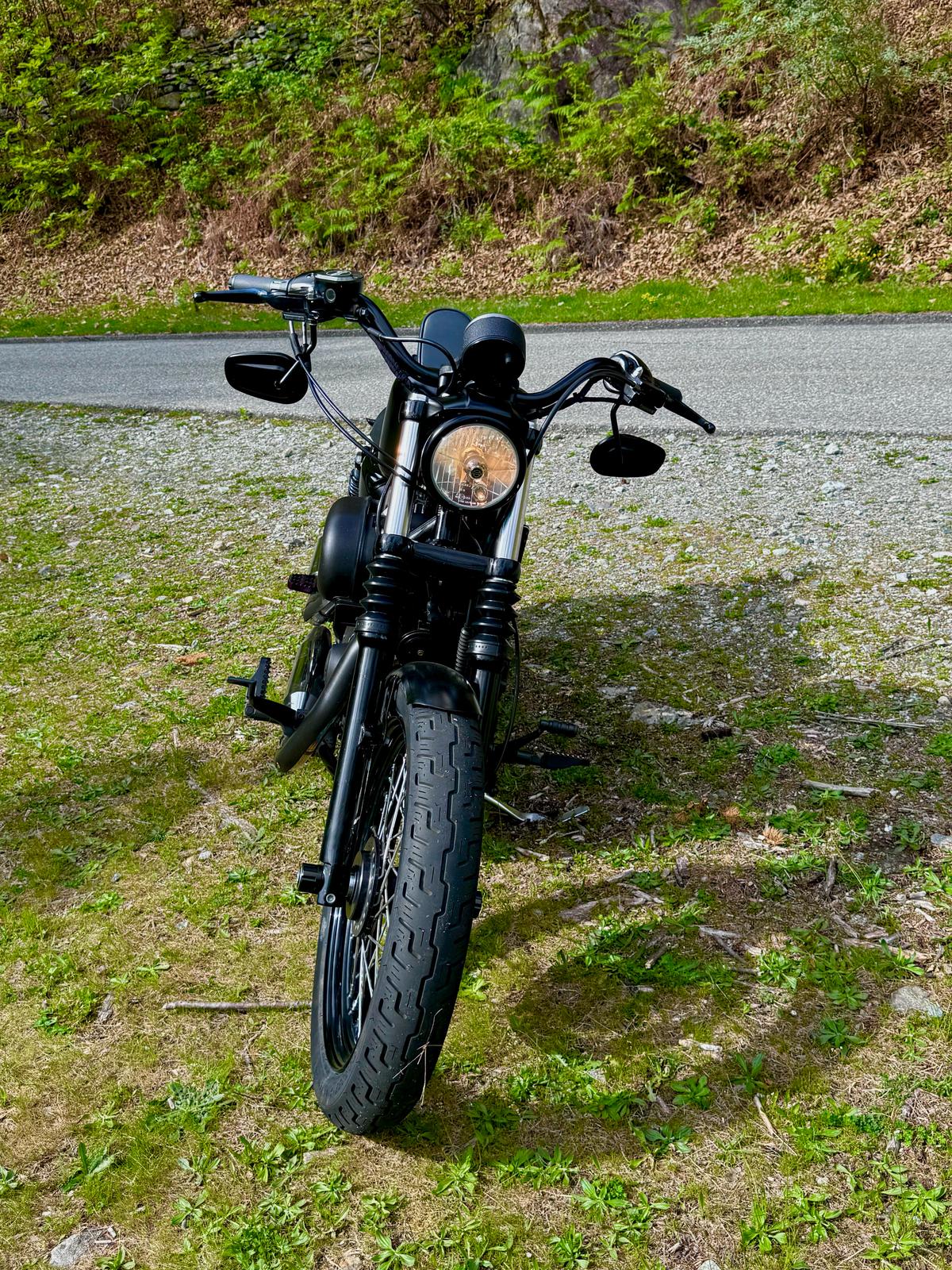 HARLEY-DAVIDSON XL 1200 N Sportster Nightster-image-4