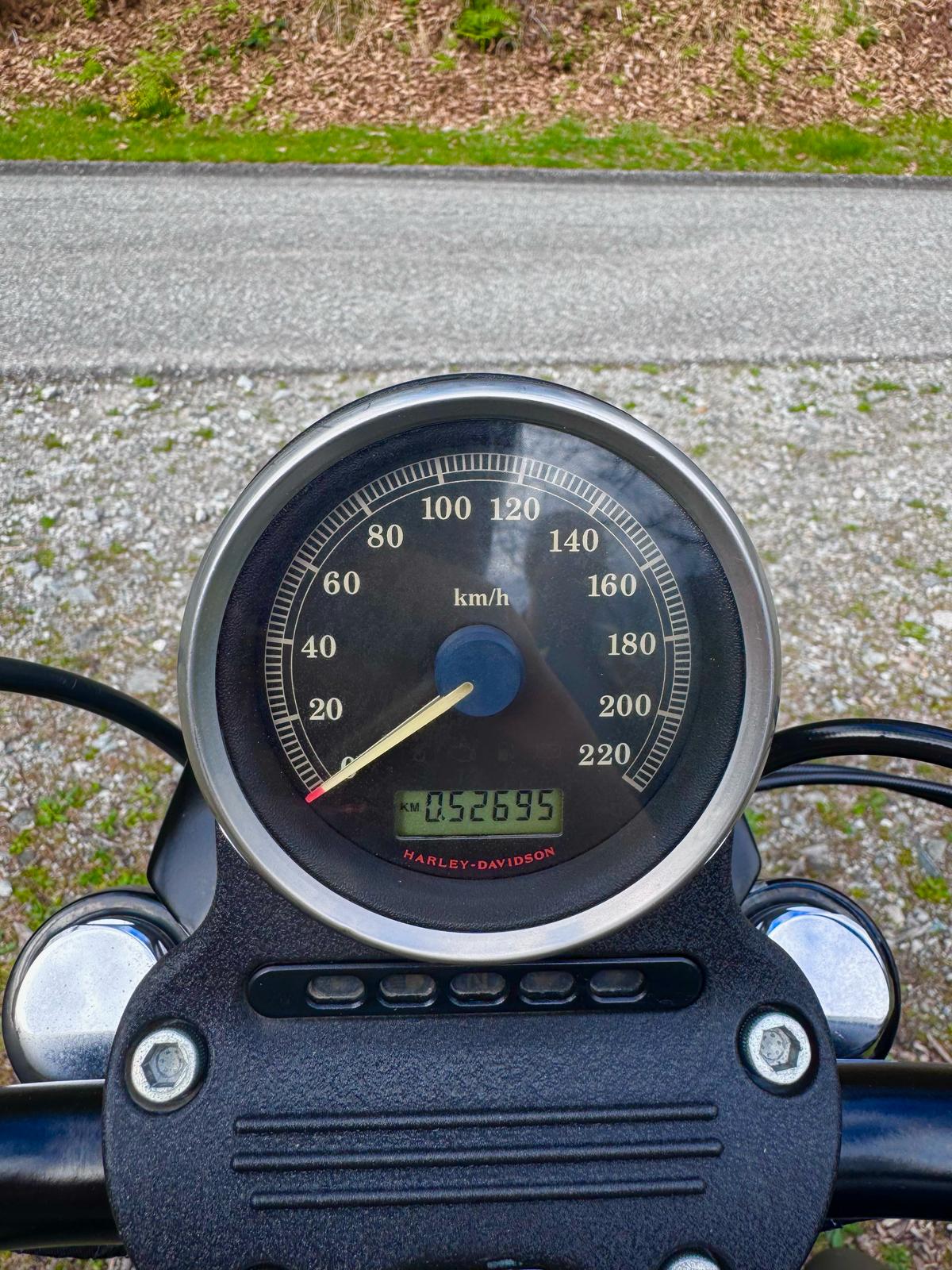 HARLEY-DAVIDSON XL 1200 N Sportster Nightster-image-5