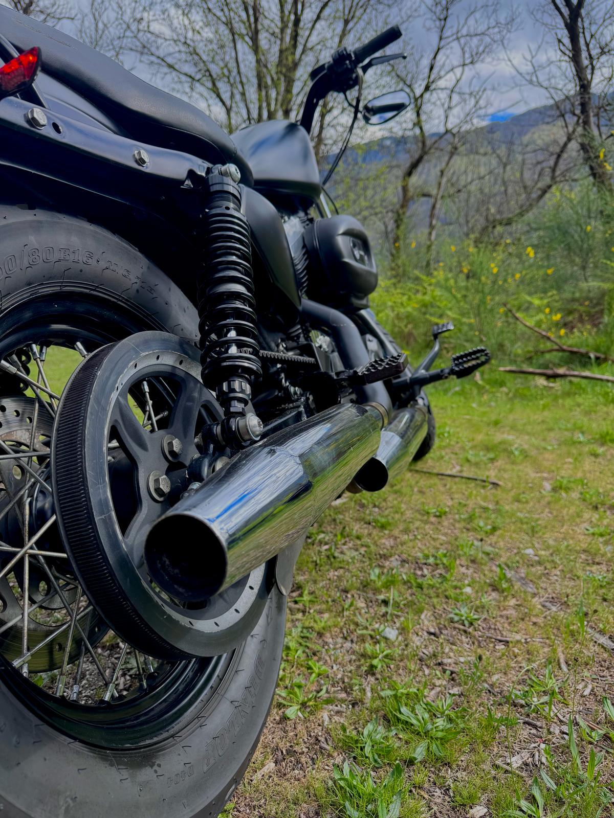 HARLEY-DAVIDSON XL 1200 N Sportster Nightster-image-3