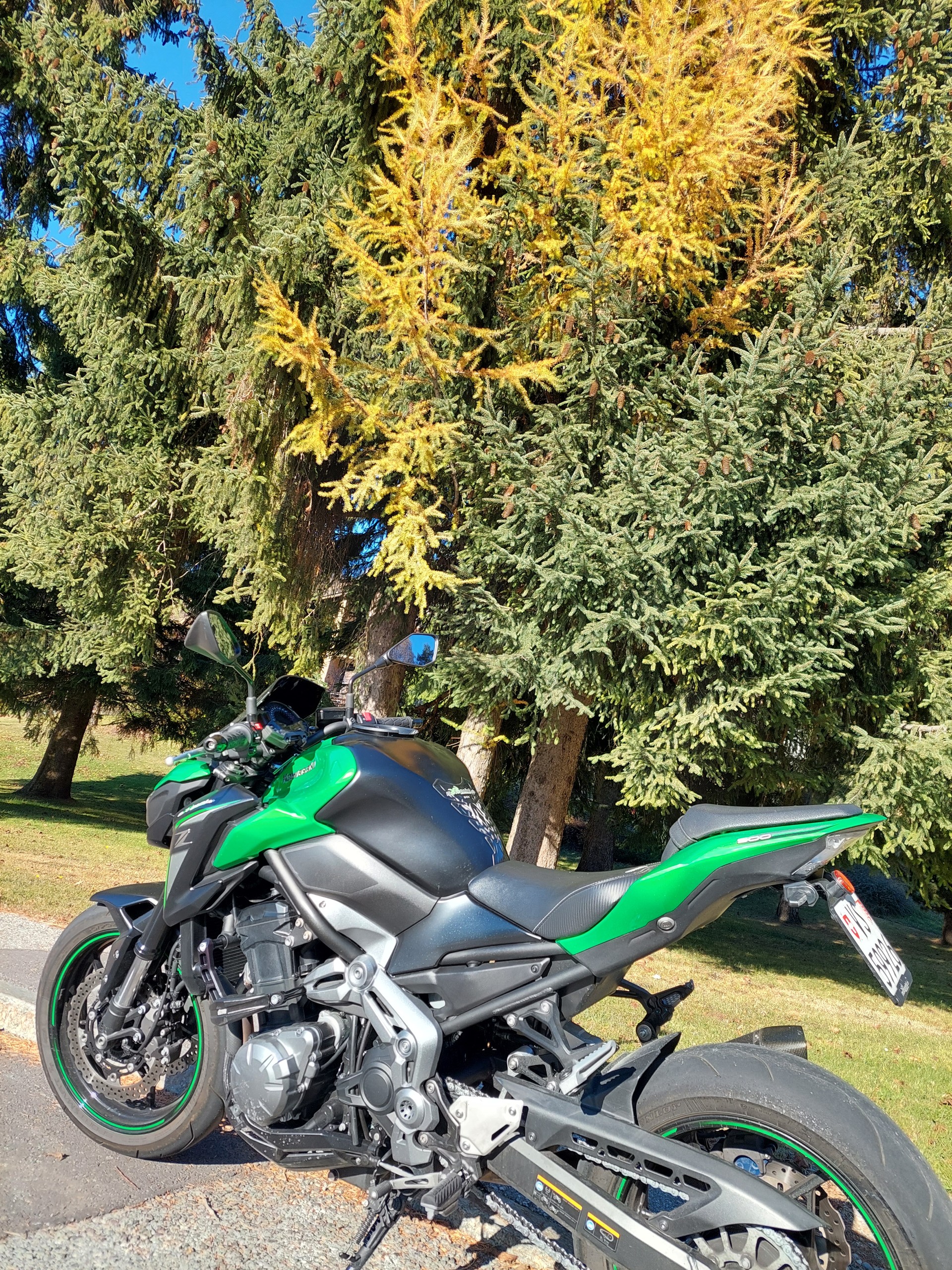 KAWASAKI Z 900 Performance-image-4