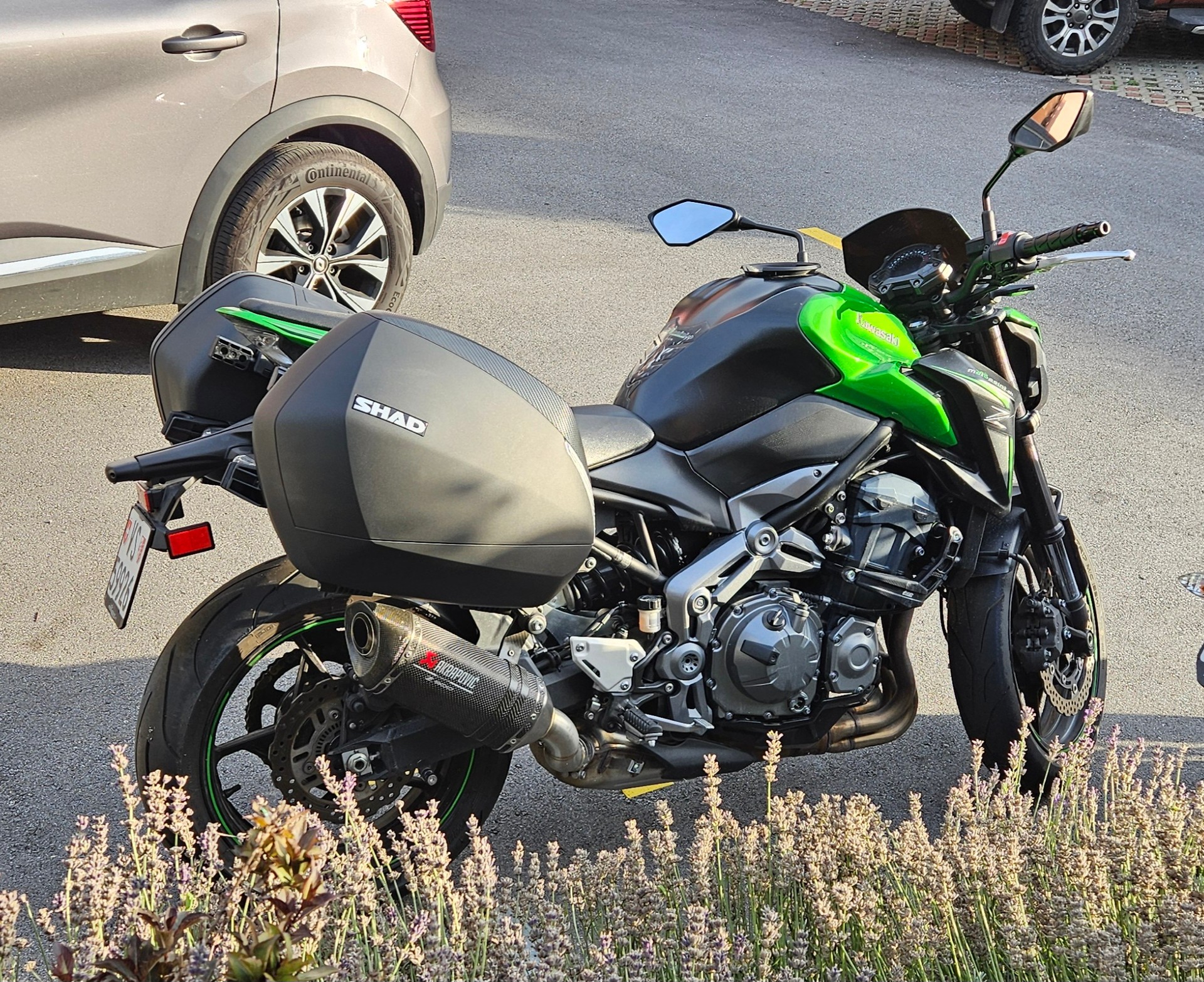 KAWASAKI Z 900 Performance-image-2
