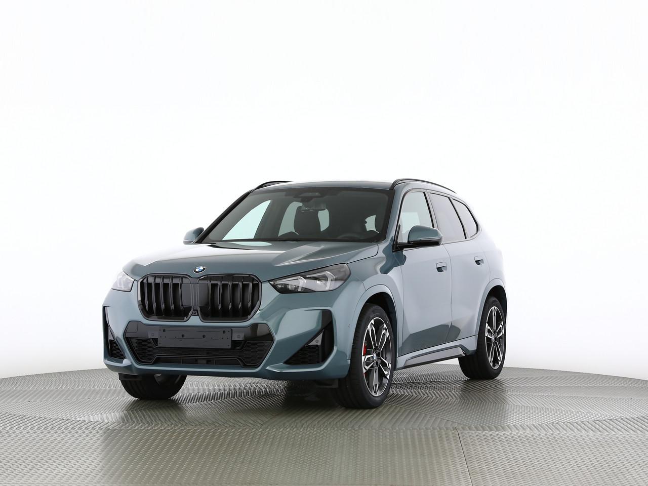 BMW X1 23i xDrive paddles