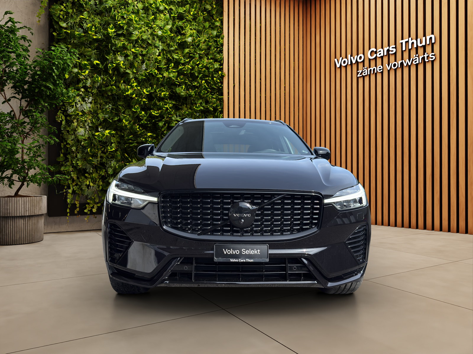 VOLVO XC60 2.0 T8 TE XCENTRIC Black Edition eAWD-showroom-element-1