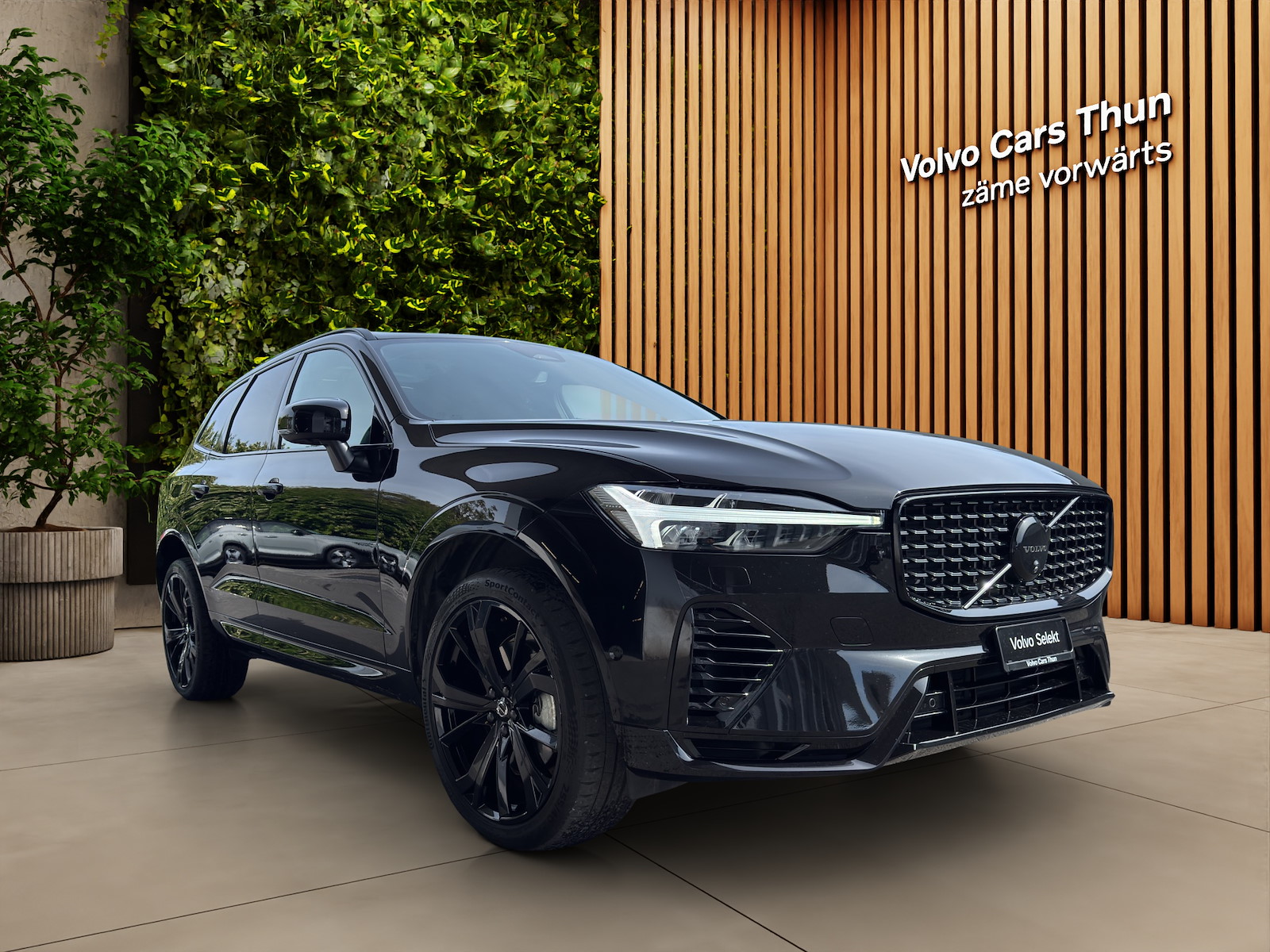 VOLVO XC60 2.0 T8 TE XCENTRIC Black Edition eAWD-showroom-element-2
