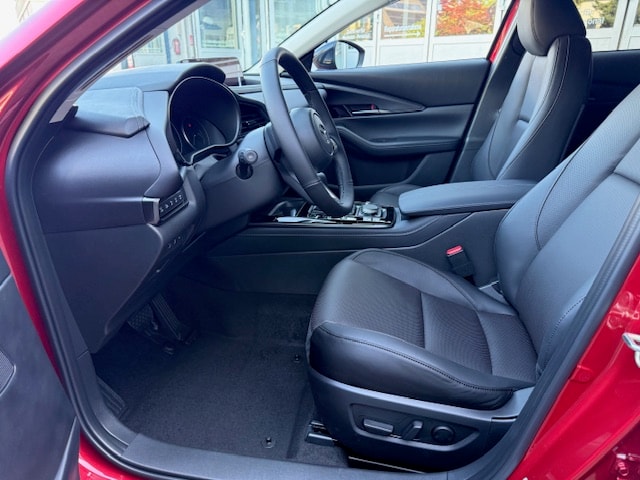 MAZDA CX-30 SKYACTIV-X 186 M Hybrid Homura Plus AWD AT-image-8