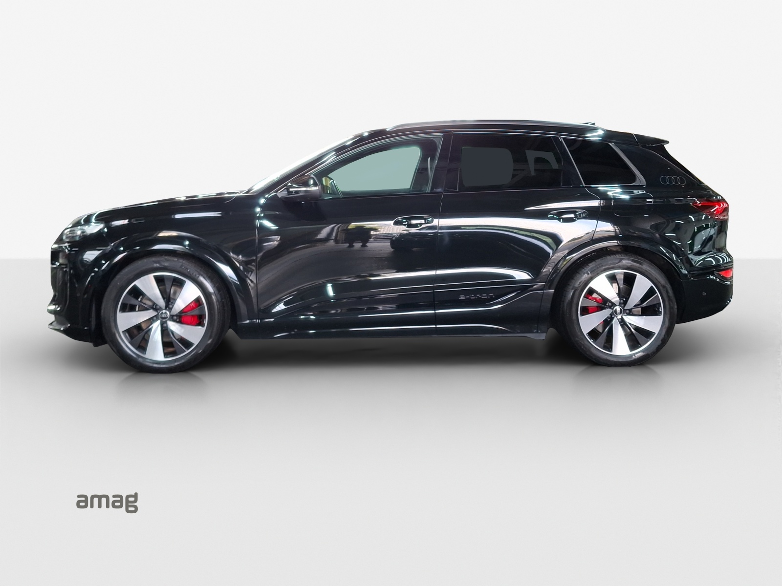 AUDI Q6 e-tron quattro-showroom-element-1