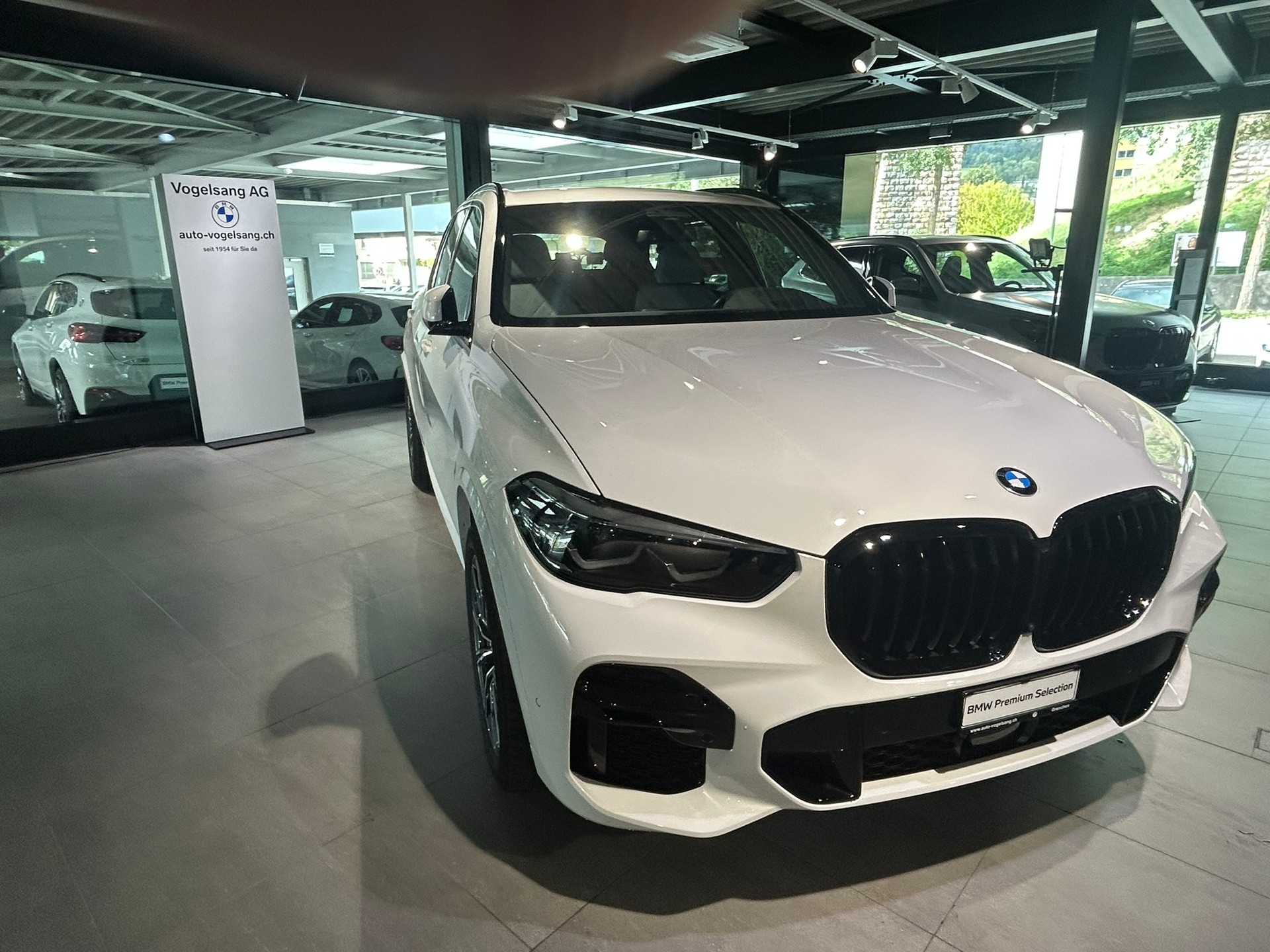 BMW X5 xDrive 48V 30d M Sport Steptronic-showroom-element-2