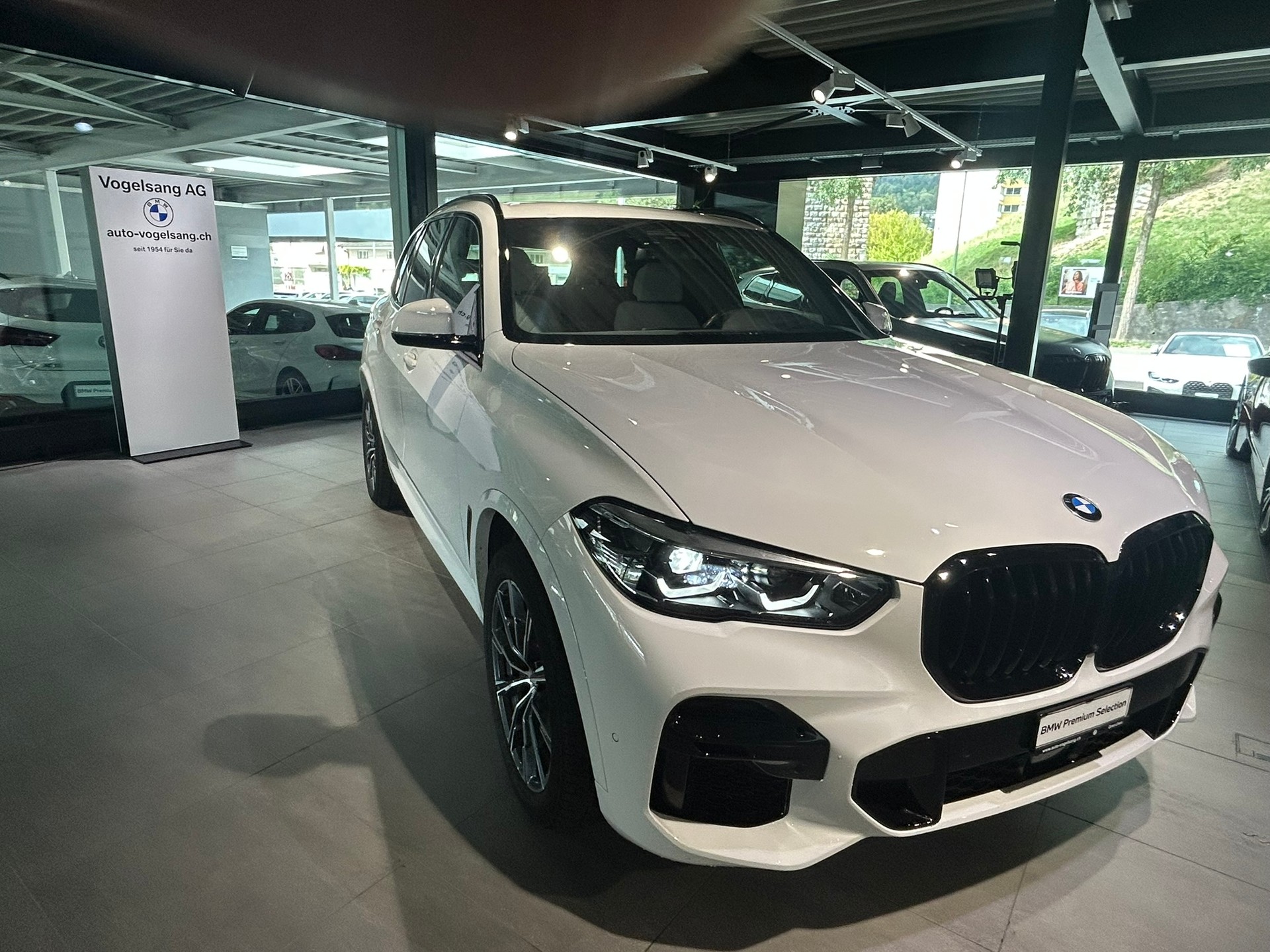 BMW X5 xDrive 48V 30d M Sport Steptronic-showroom-element-1