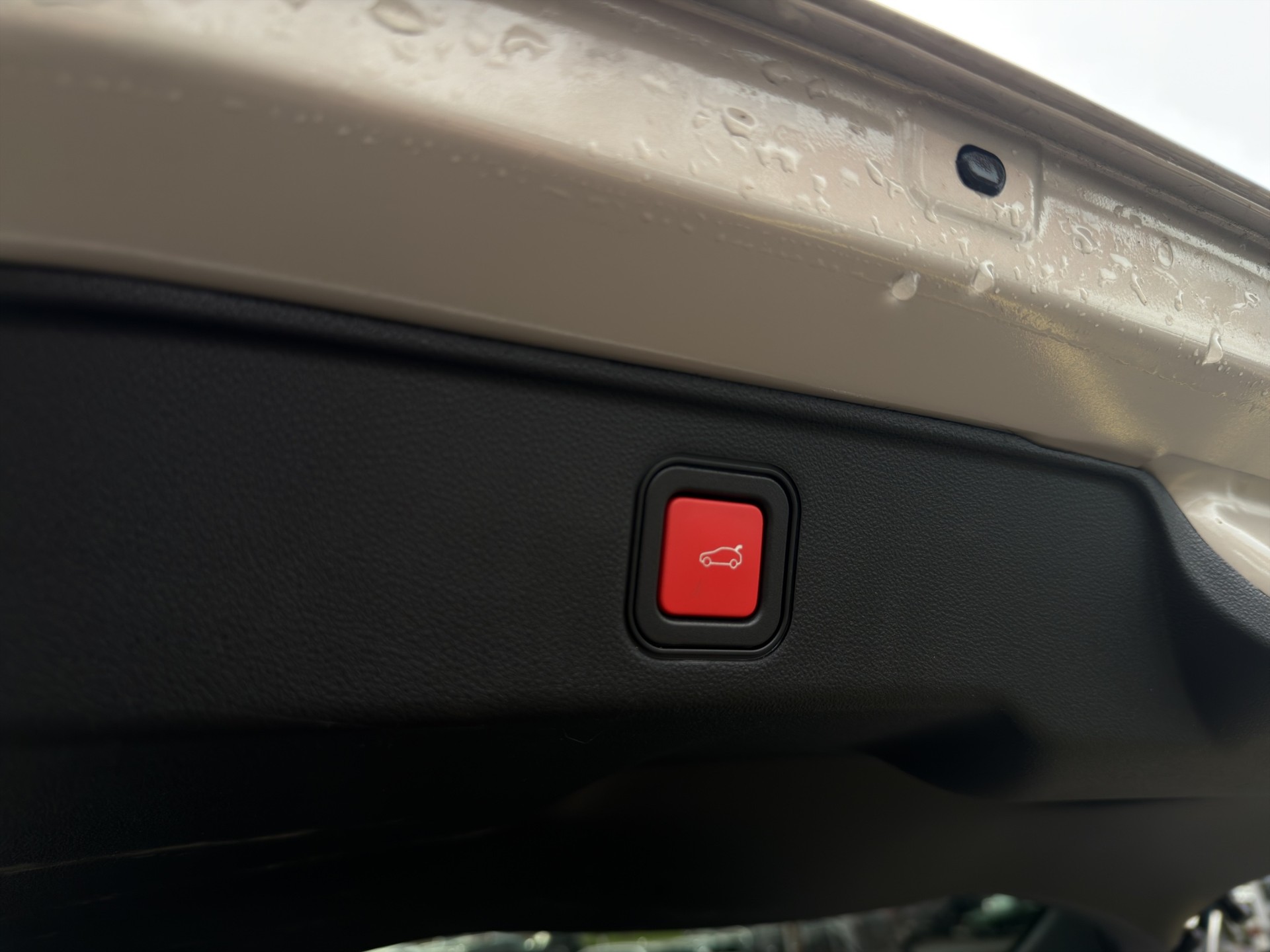 FIAT 600 1.2 Hybrid MHEV La Prima-image-20