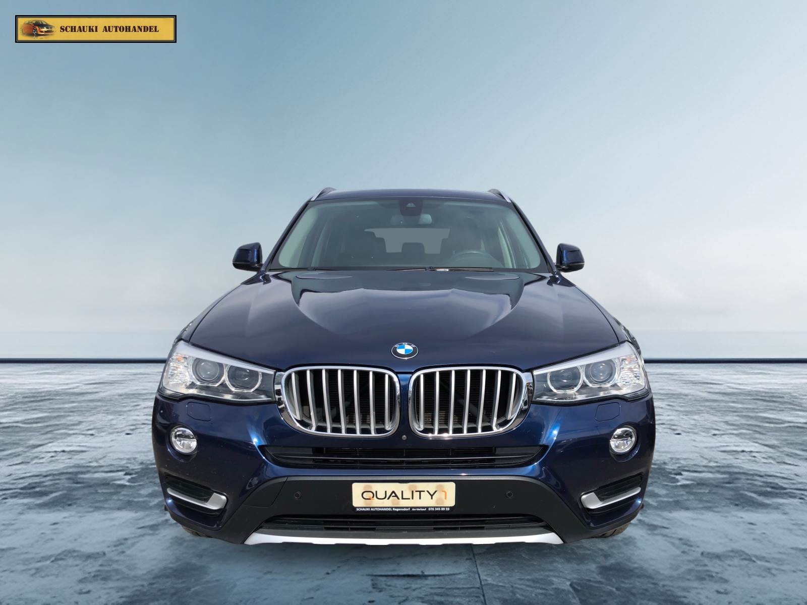 BMW X3 xDrive 20d xLine Steptronic-showroom-element-1