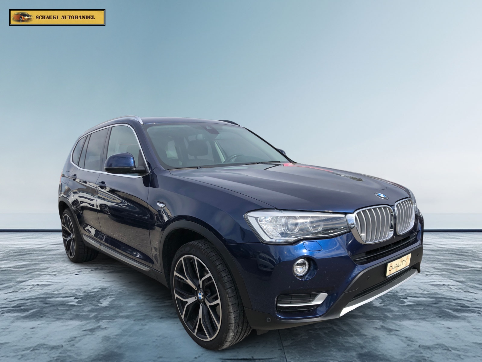 BMW X3 xDrive 20d xLine Steptronic-showroom-element-2