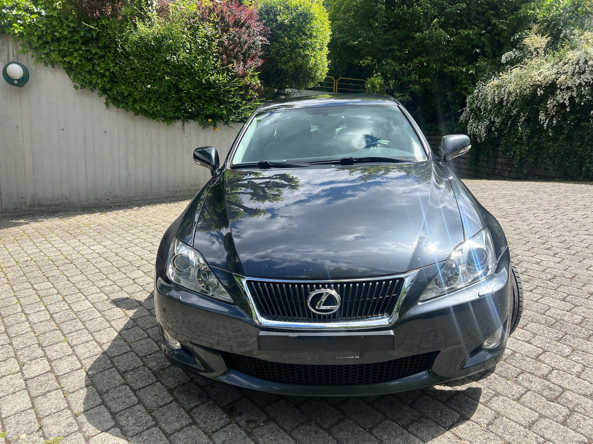 LEXUS 250 Edition
