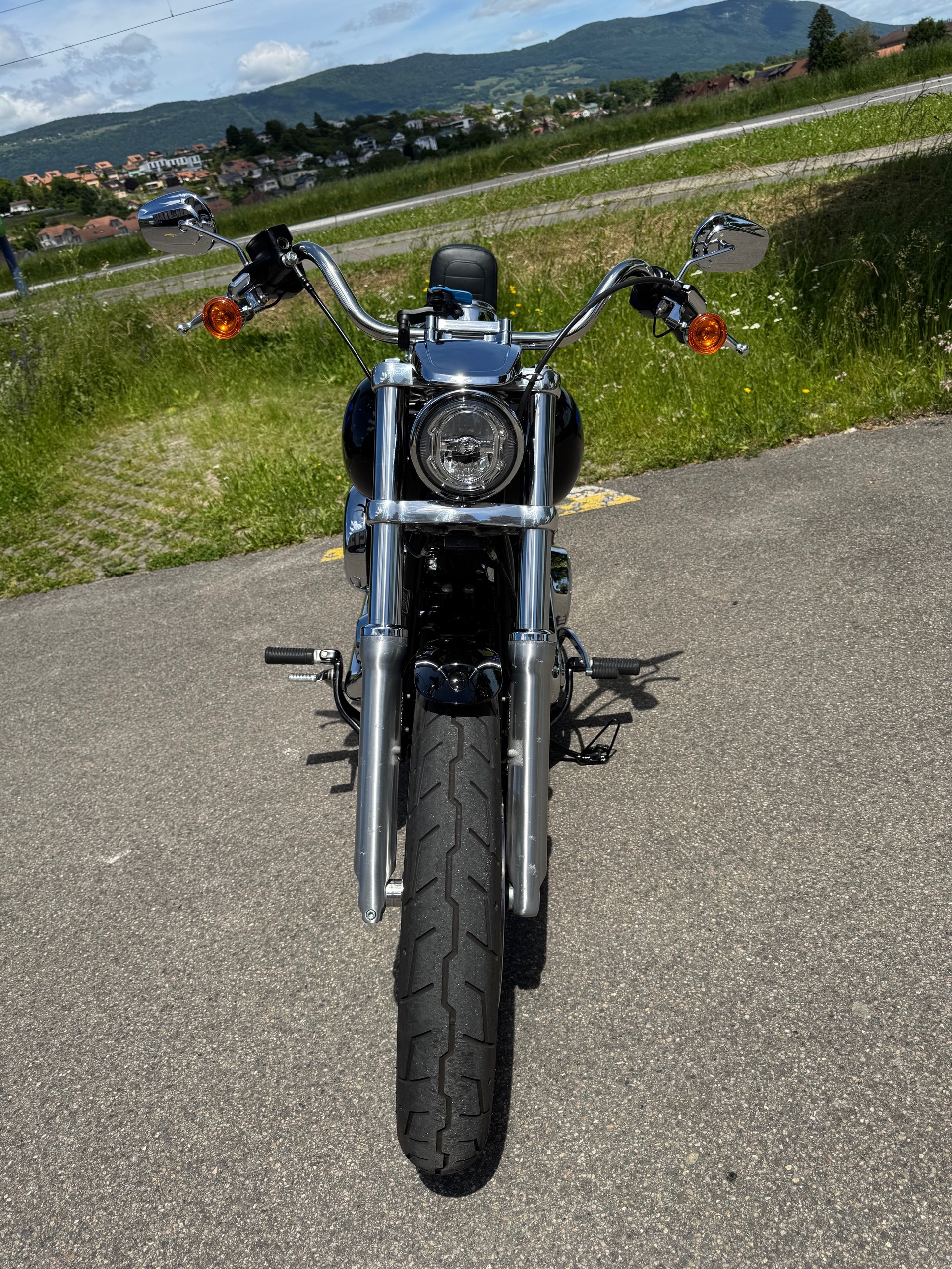 HARLEY-DAVIDSON FXLR Low Rider 107 ABS-image-3