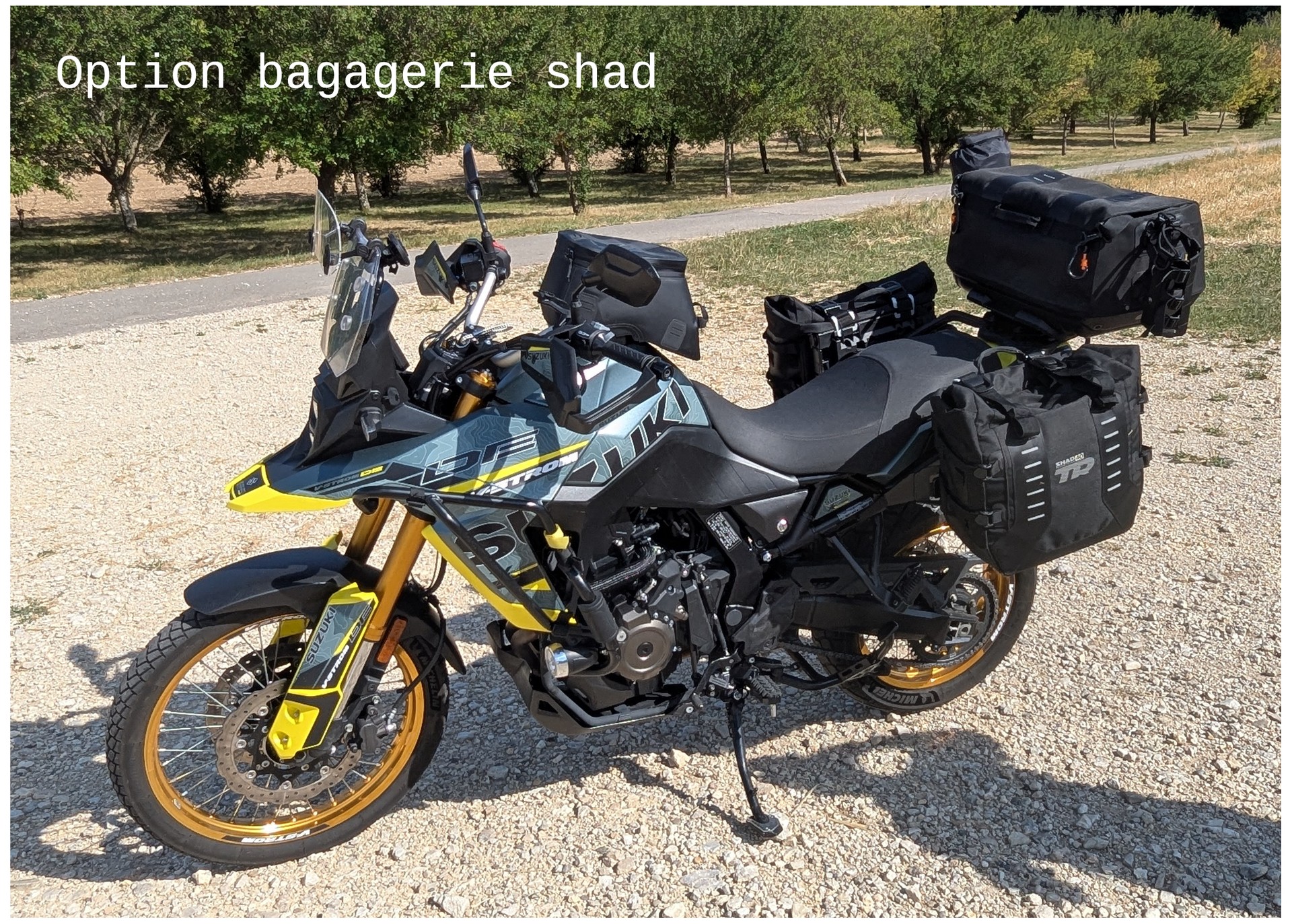 SUZUKI DL 800 DE-image-3