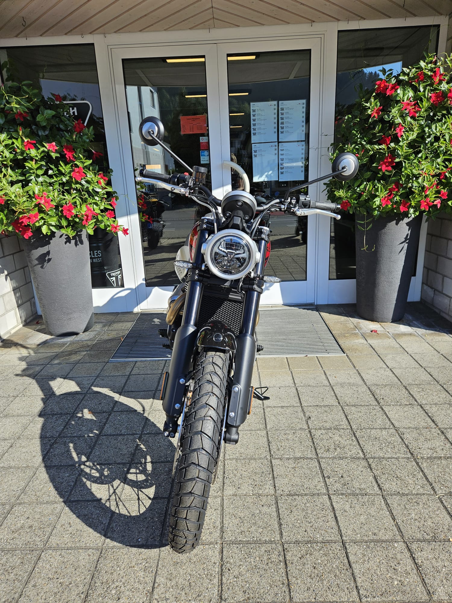 TRIUMPH Scrambler 1200 X-image-5