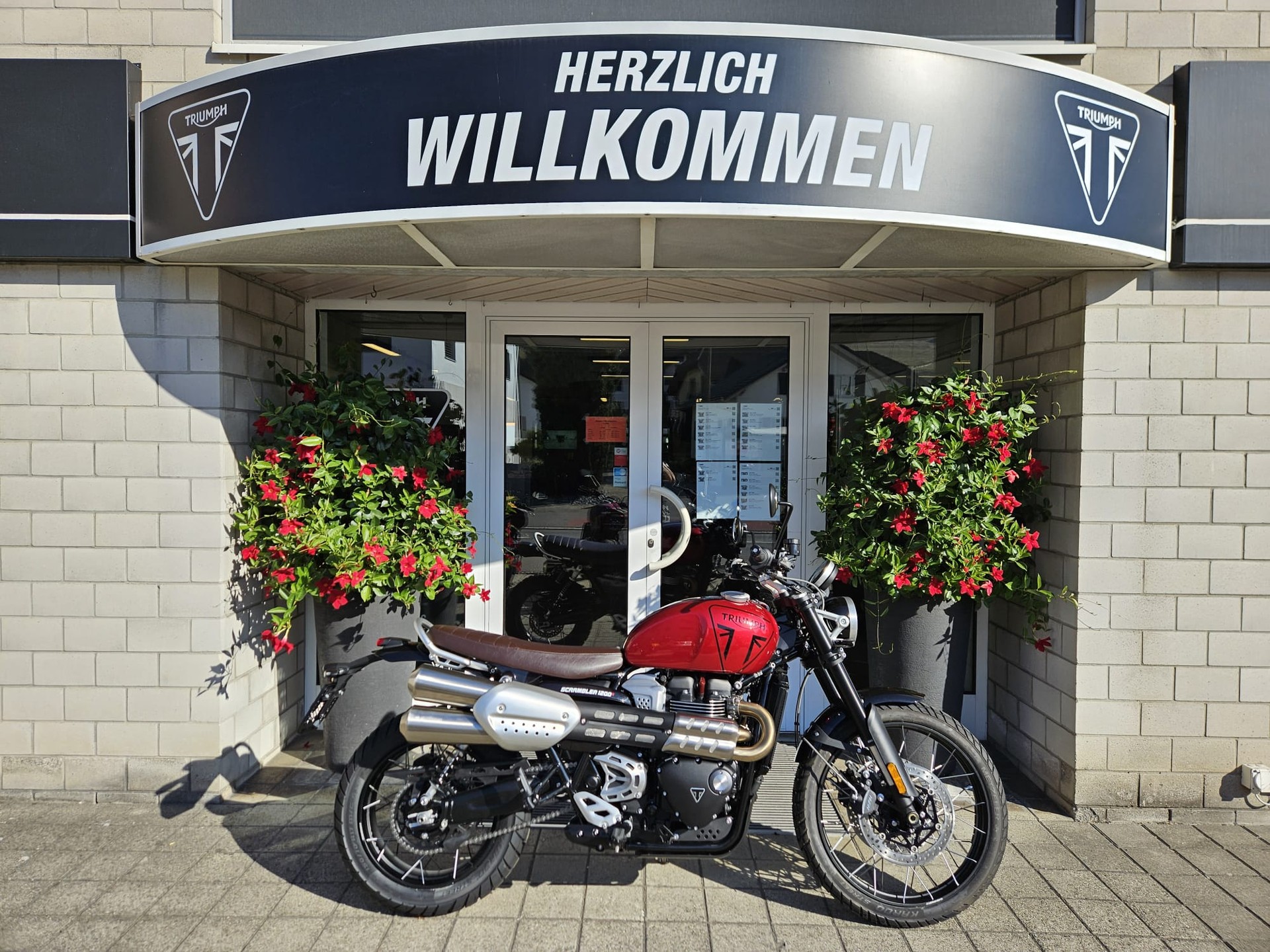 TRIUMPH Scrambler 1200 X-image-0